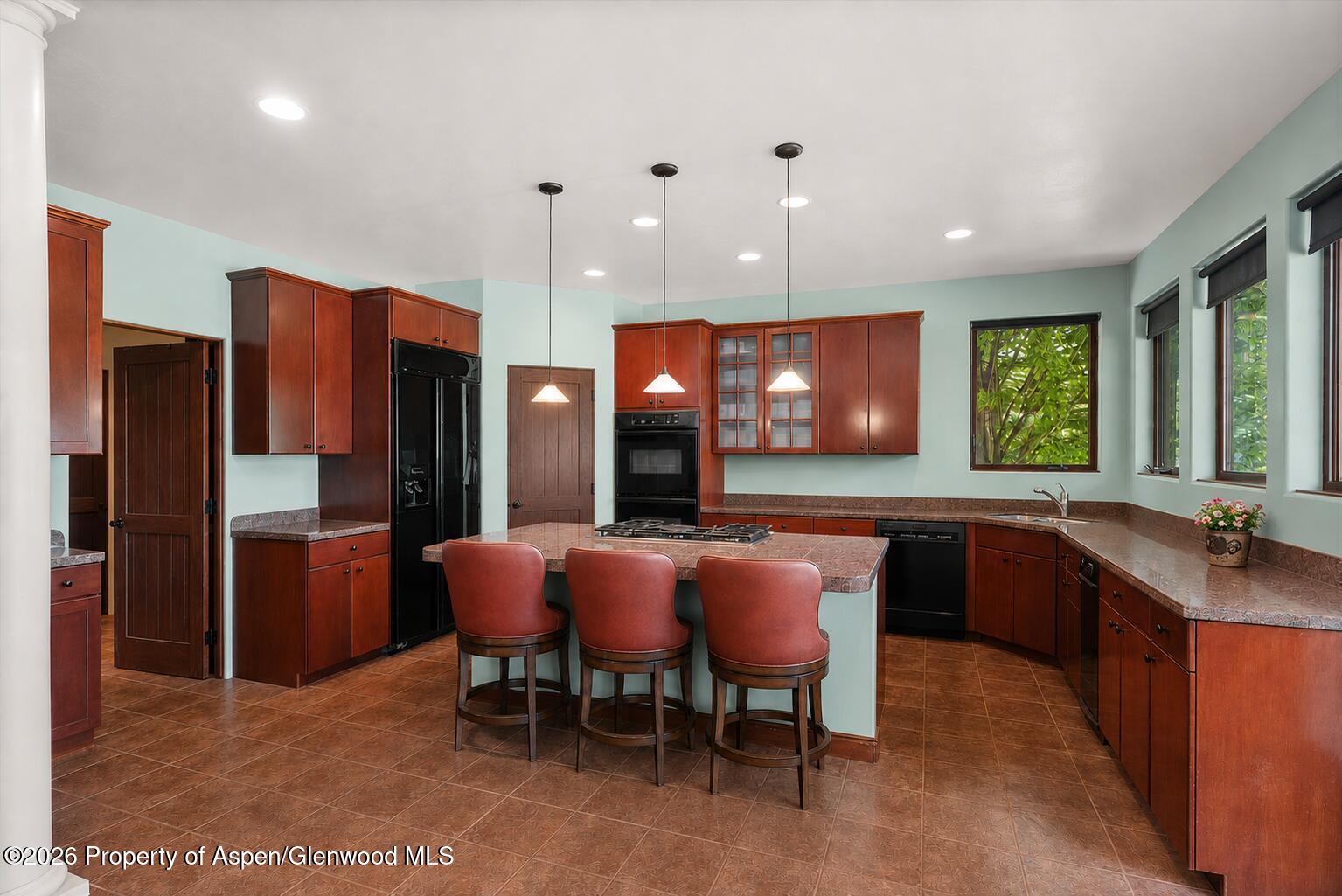 104 Pioneer Court Carbondale CO 81623