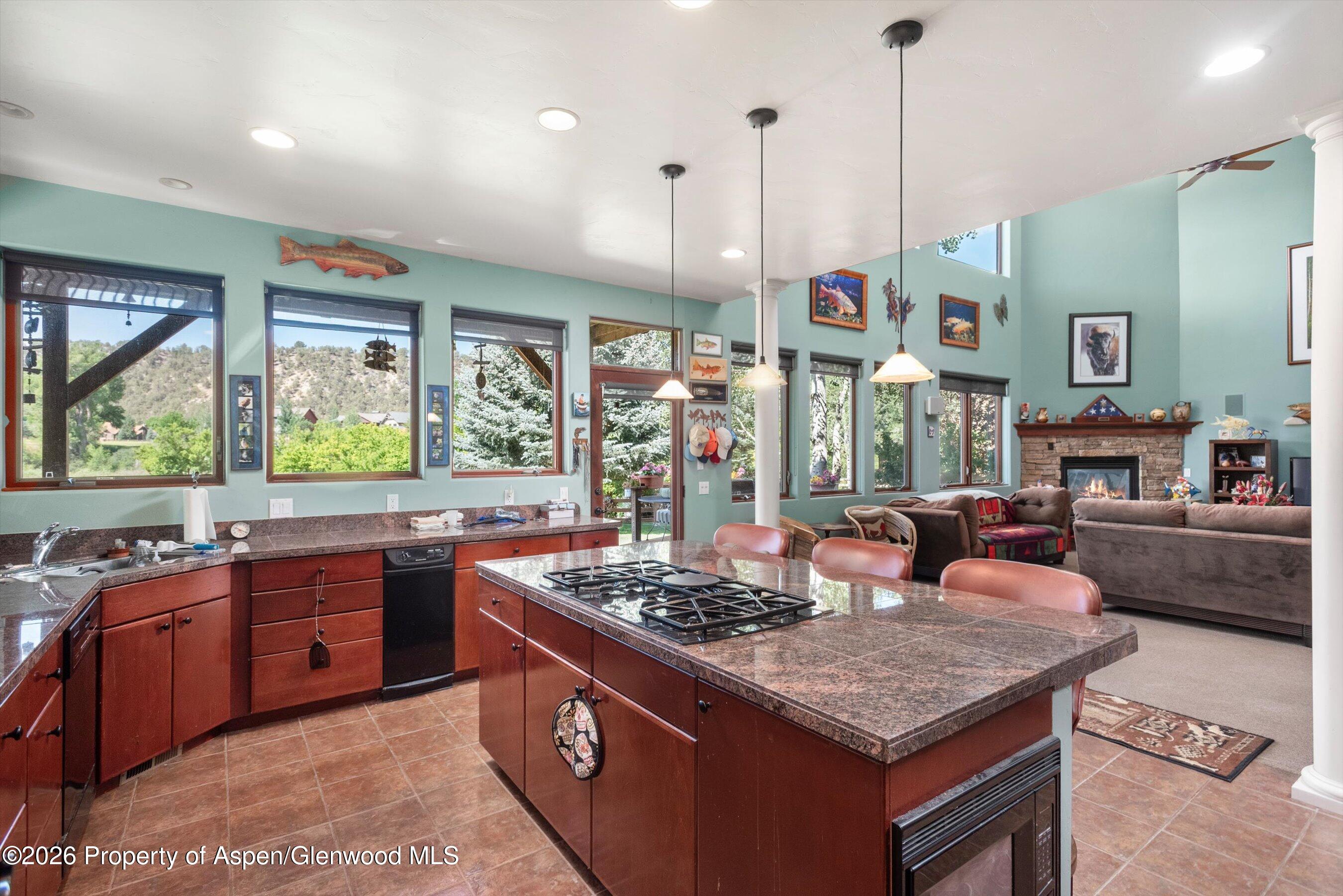 104 Pioneer Court Carbondale CO 81623