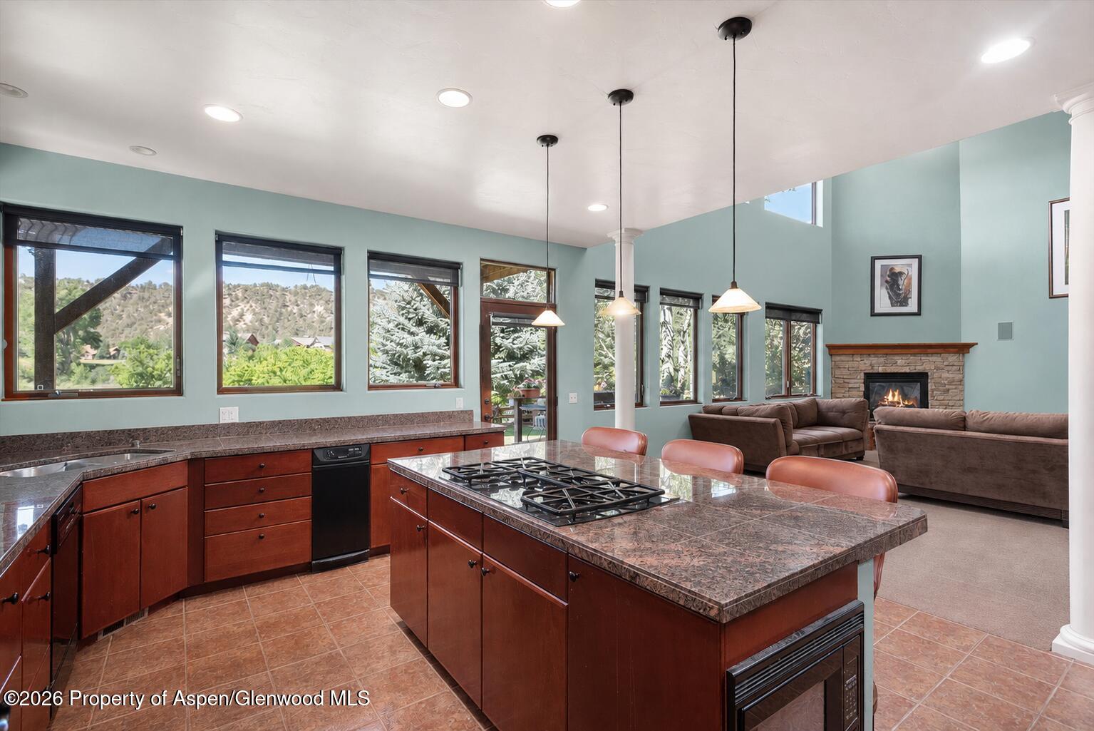 104 Pioneer Court Carbondale CO 81623