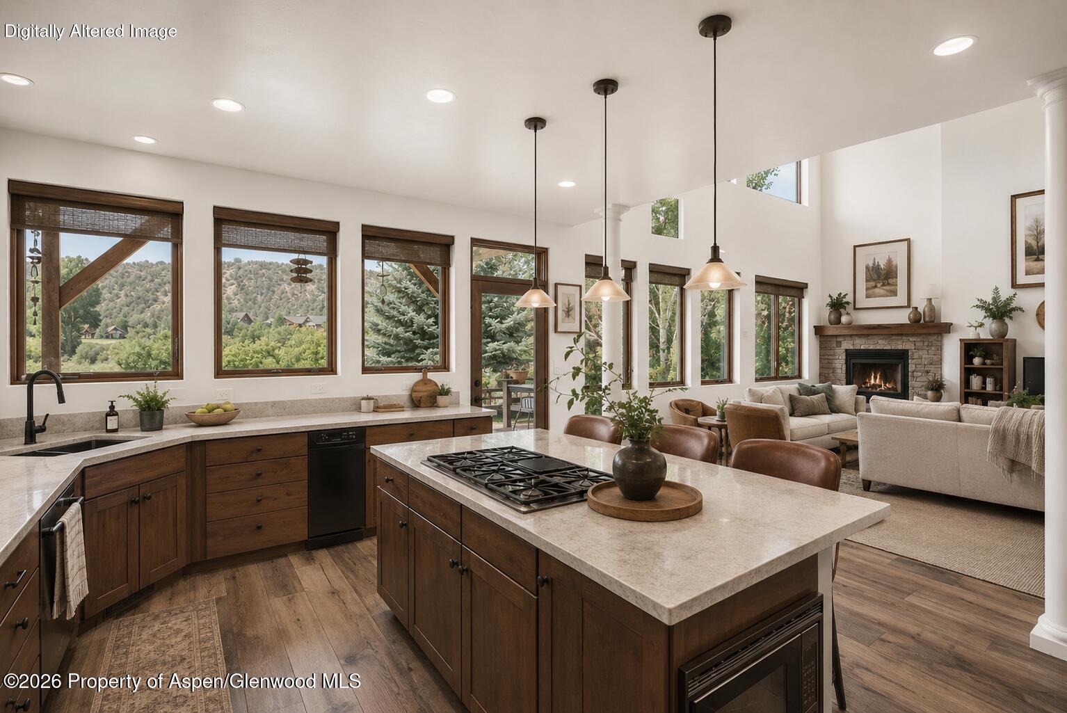 104 Pioneer Court Carbondale CO 81623