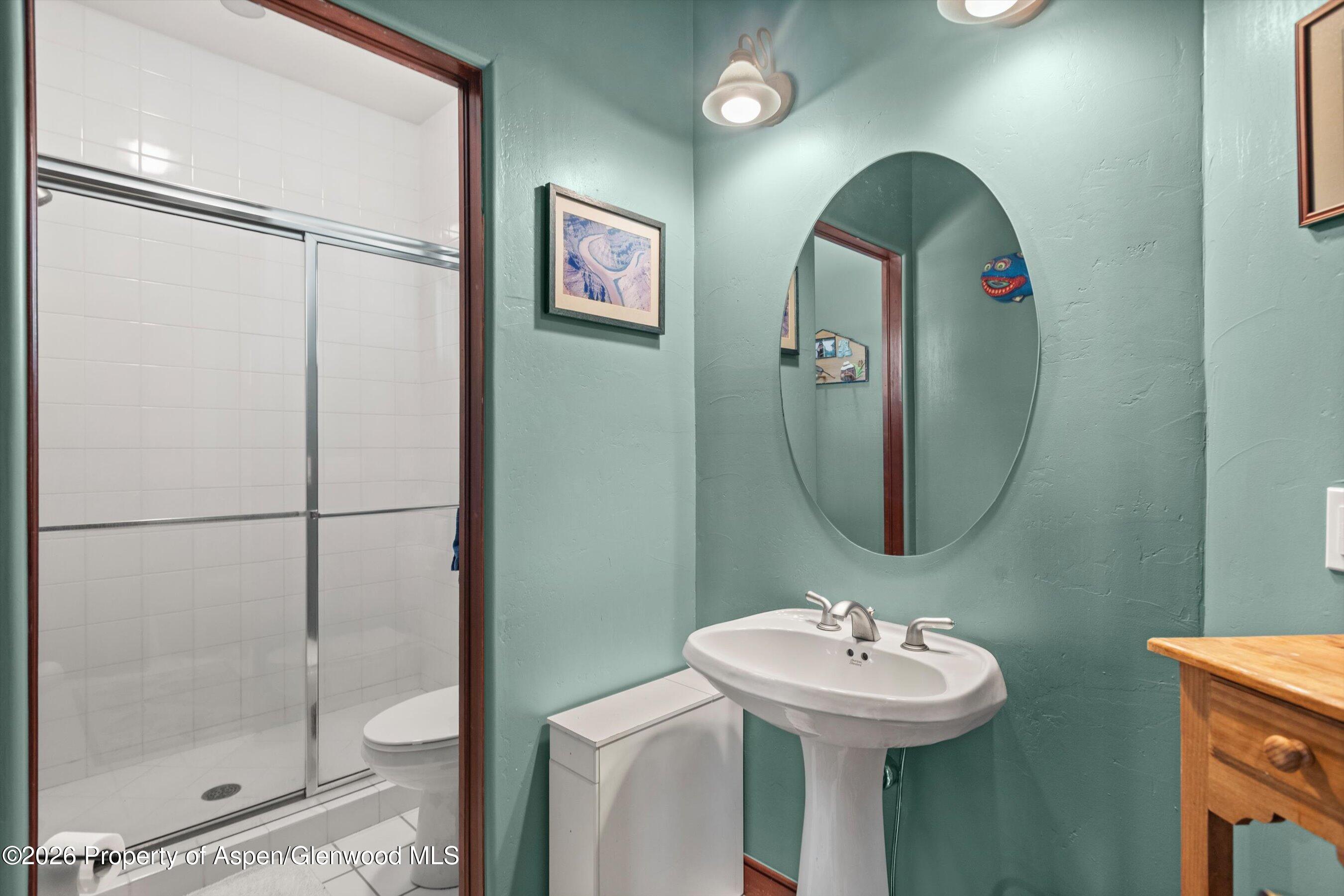 104 Pioneer Court Carbondale CO 81623