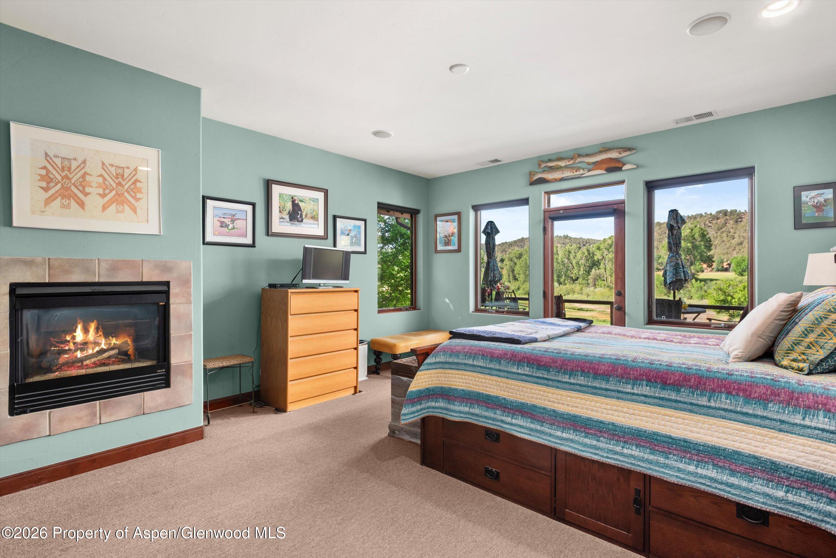 104 Pioneer Court Carbondale CO 81623