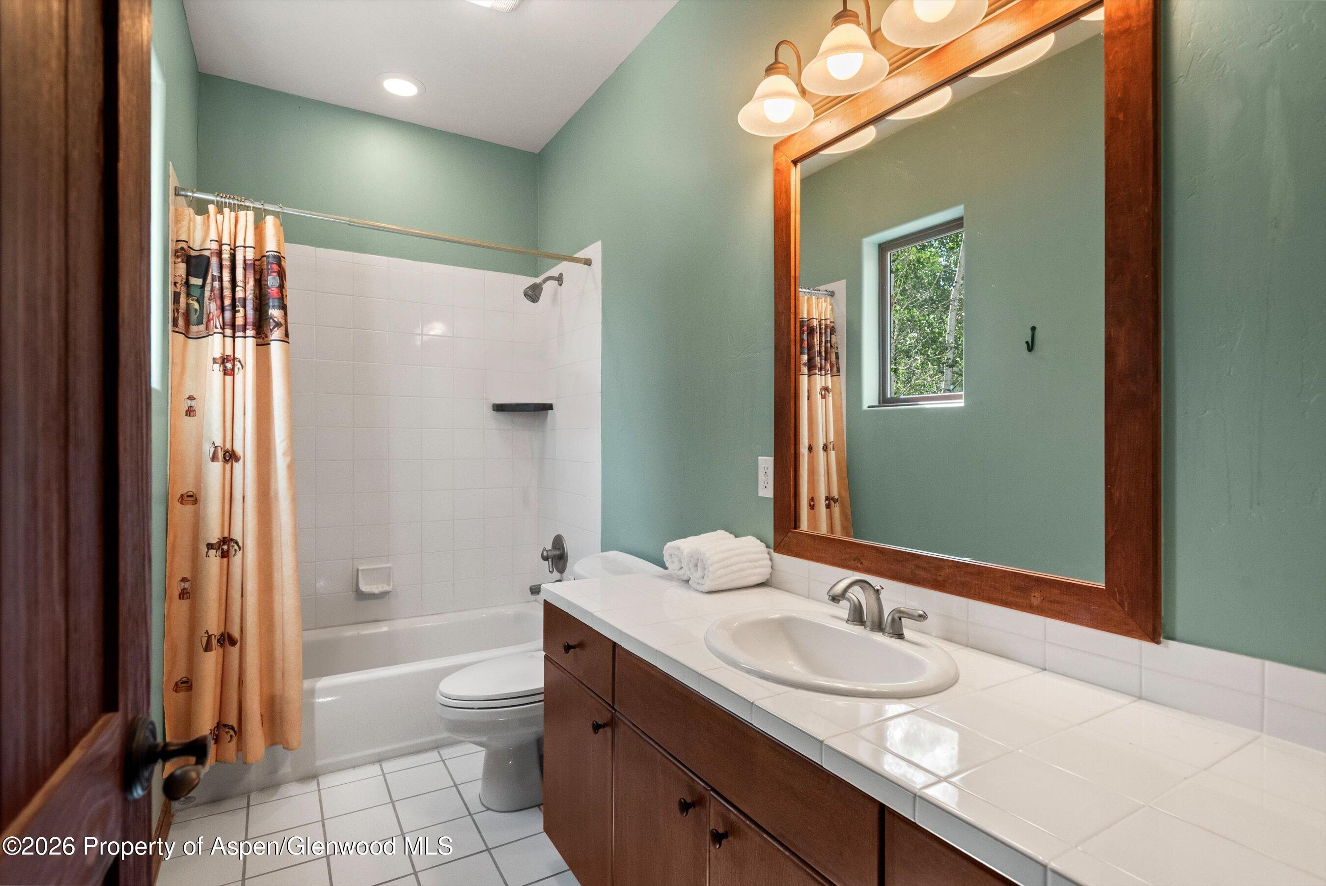 104 Pioneer Court Carbondale CO 81623