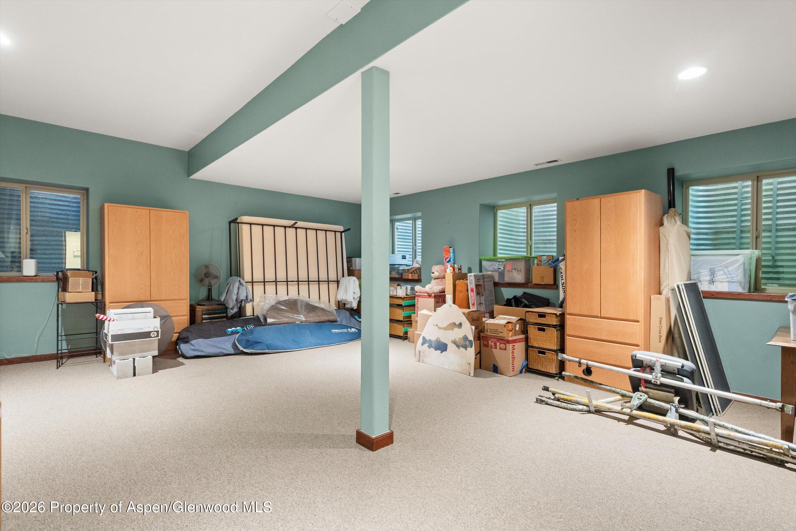 104 Pioneer Court Carbondale CO 81623