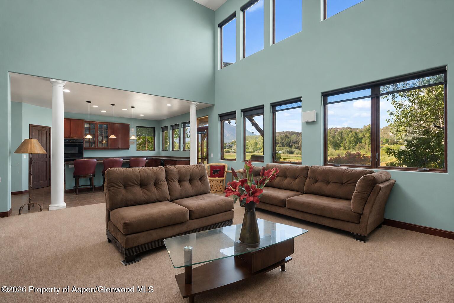 104 Pioneer Court Carbondale CO 81623