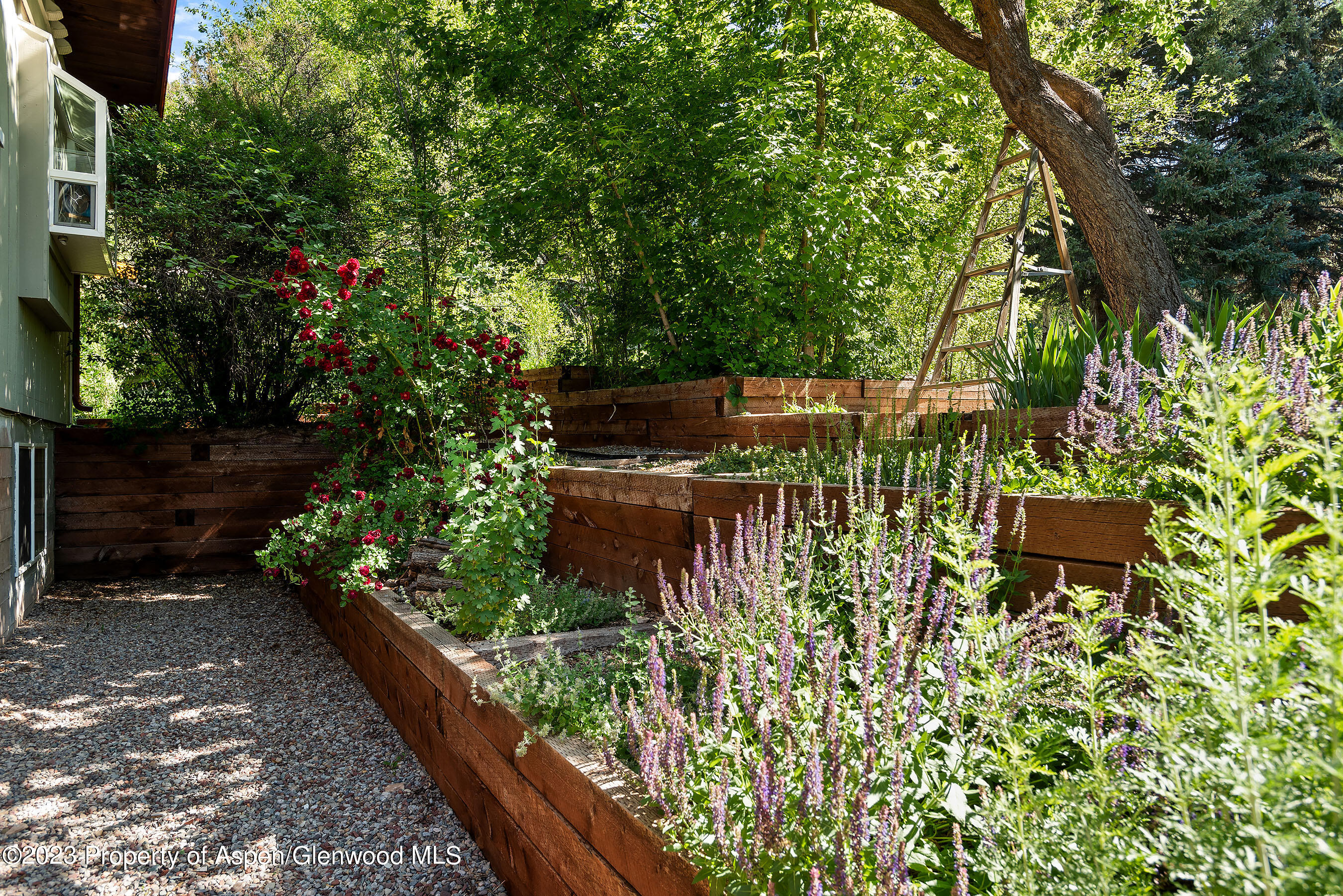 85 Ptarmigan Lane Glenwood Springs CO 81601