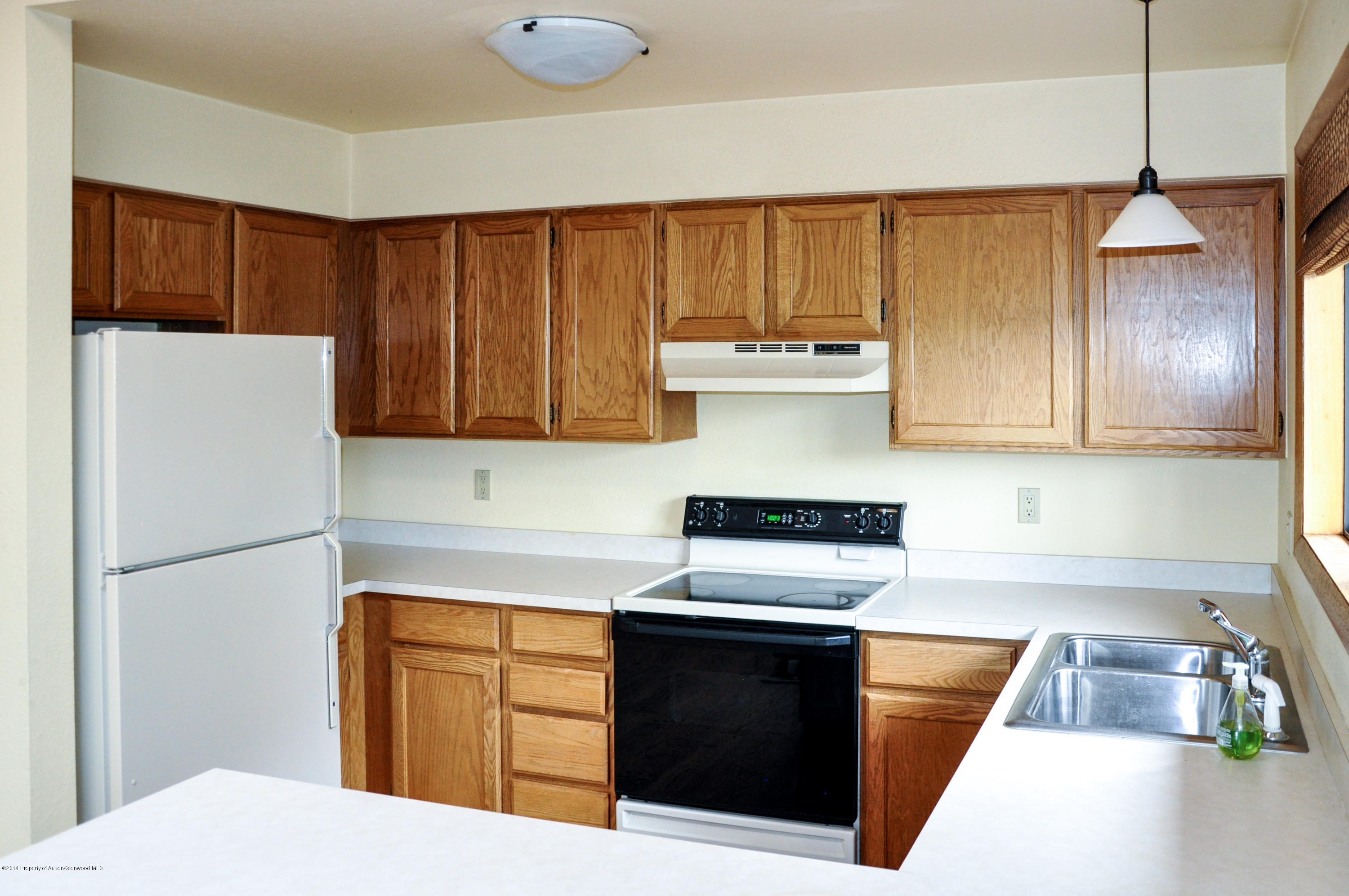 103 Fawn Drive Carbondale CO 81623