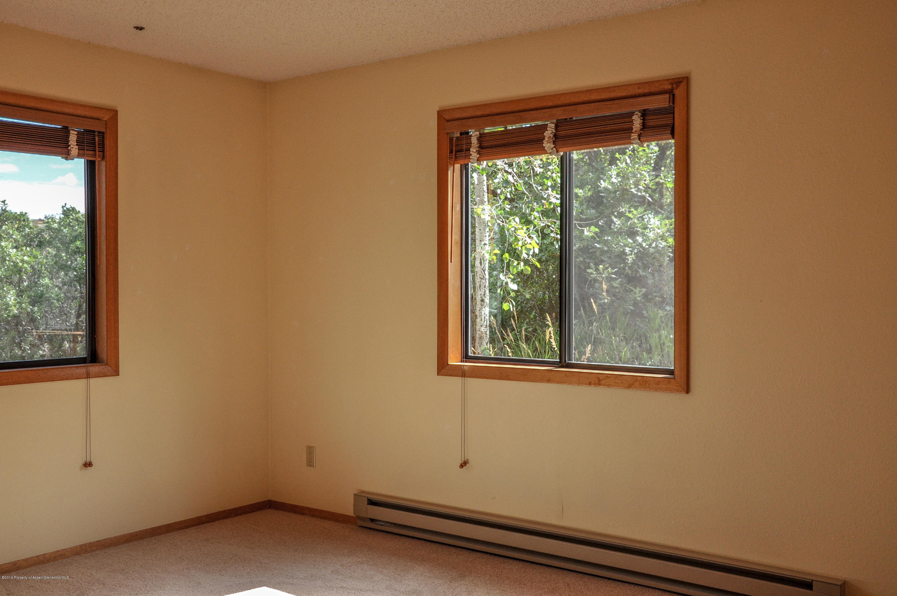 103 Fawn Drive Carbondale CO 81623