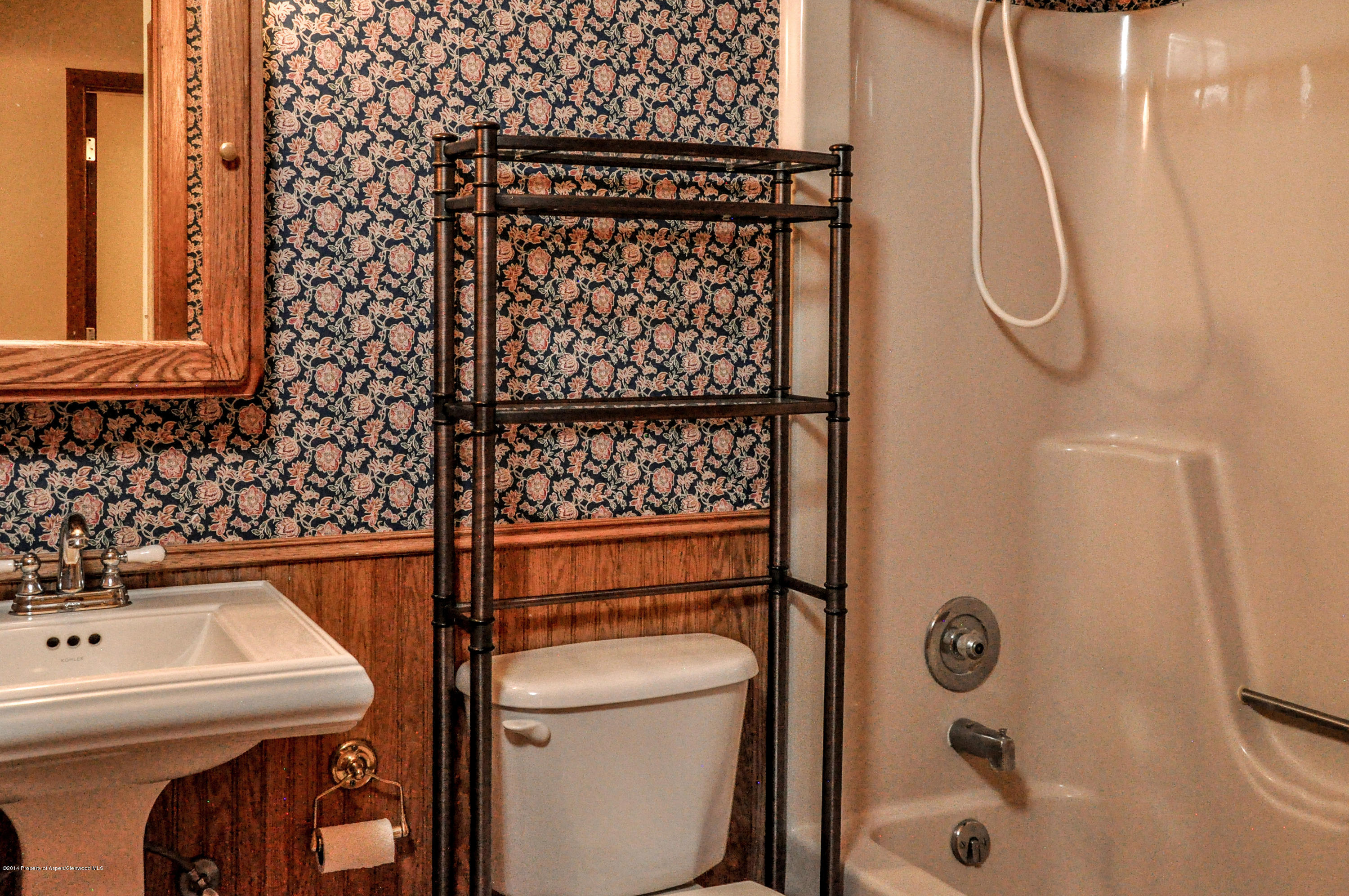 103 Fawn Drive Carbondale CO 81623