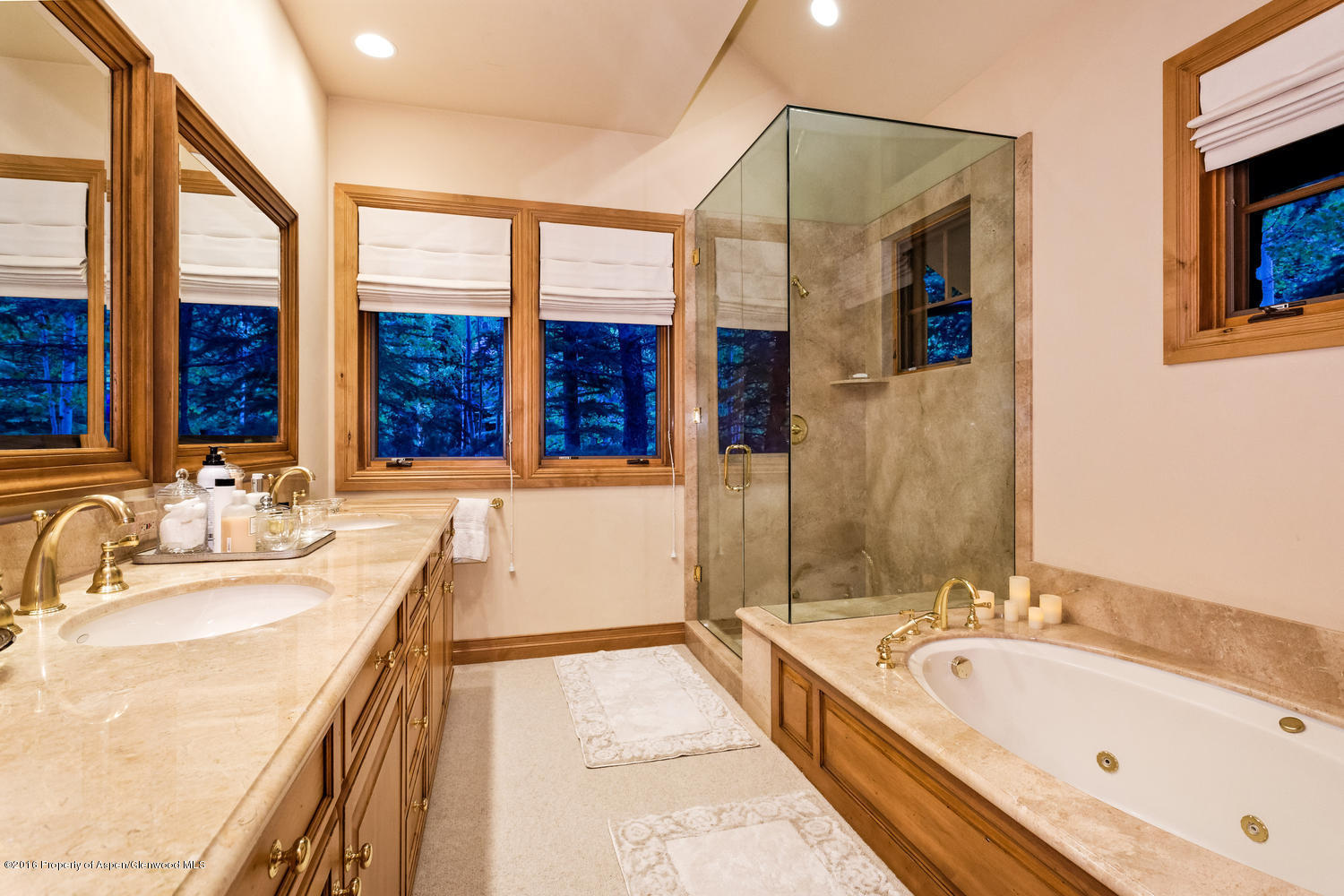 285 Pfister Drive Aspen CO 81611