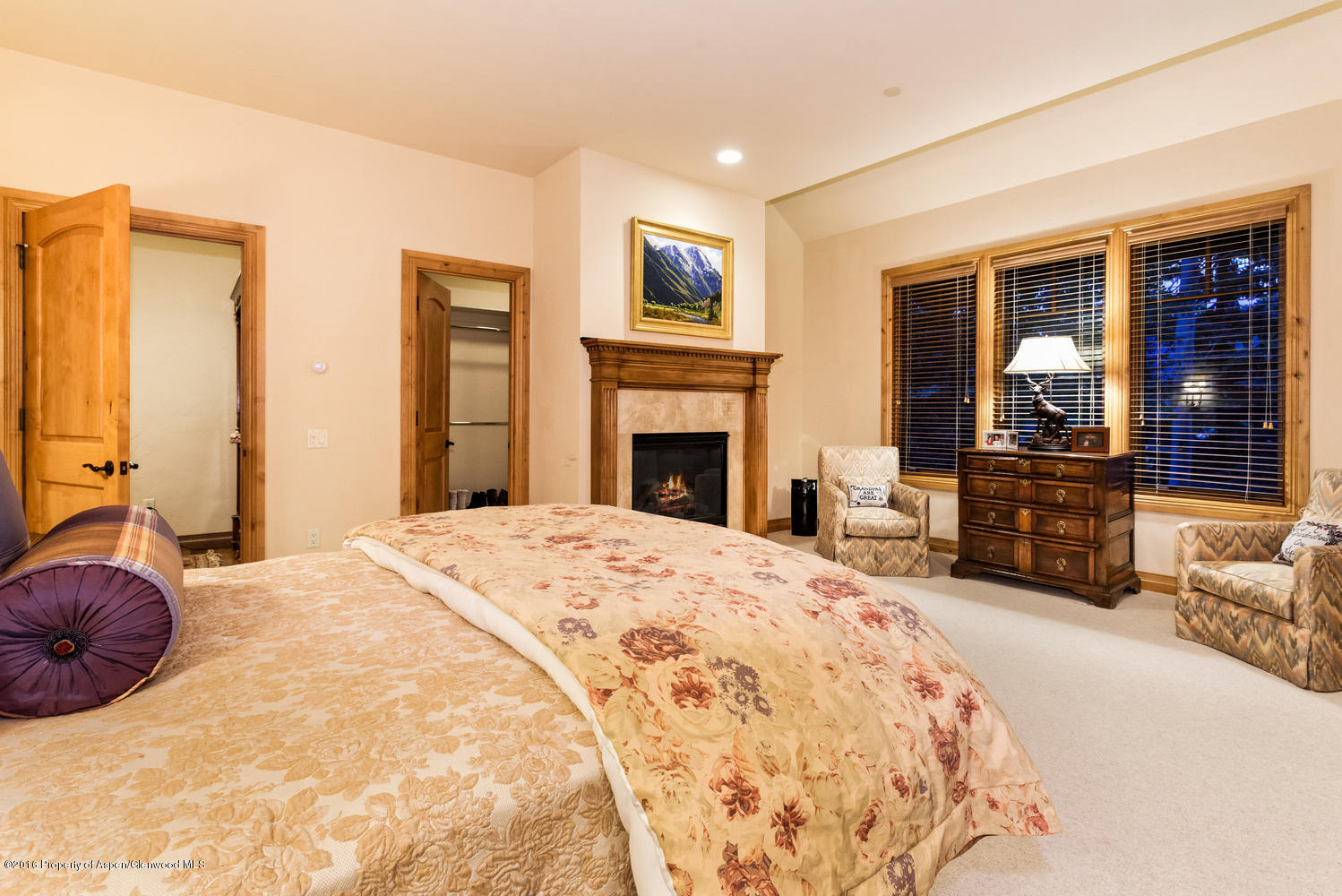 285 Pfister Drive Aspen CO 81611
