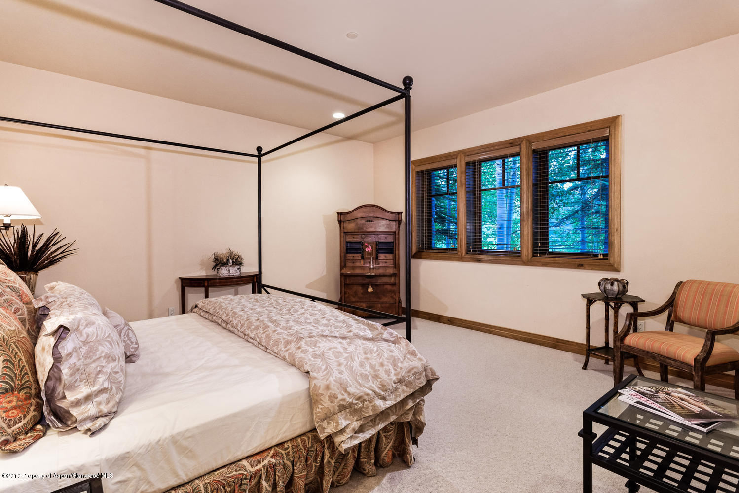 285 Pfister Drive Aspen CO 81611