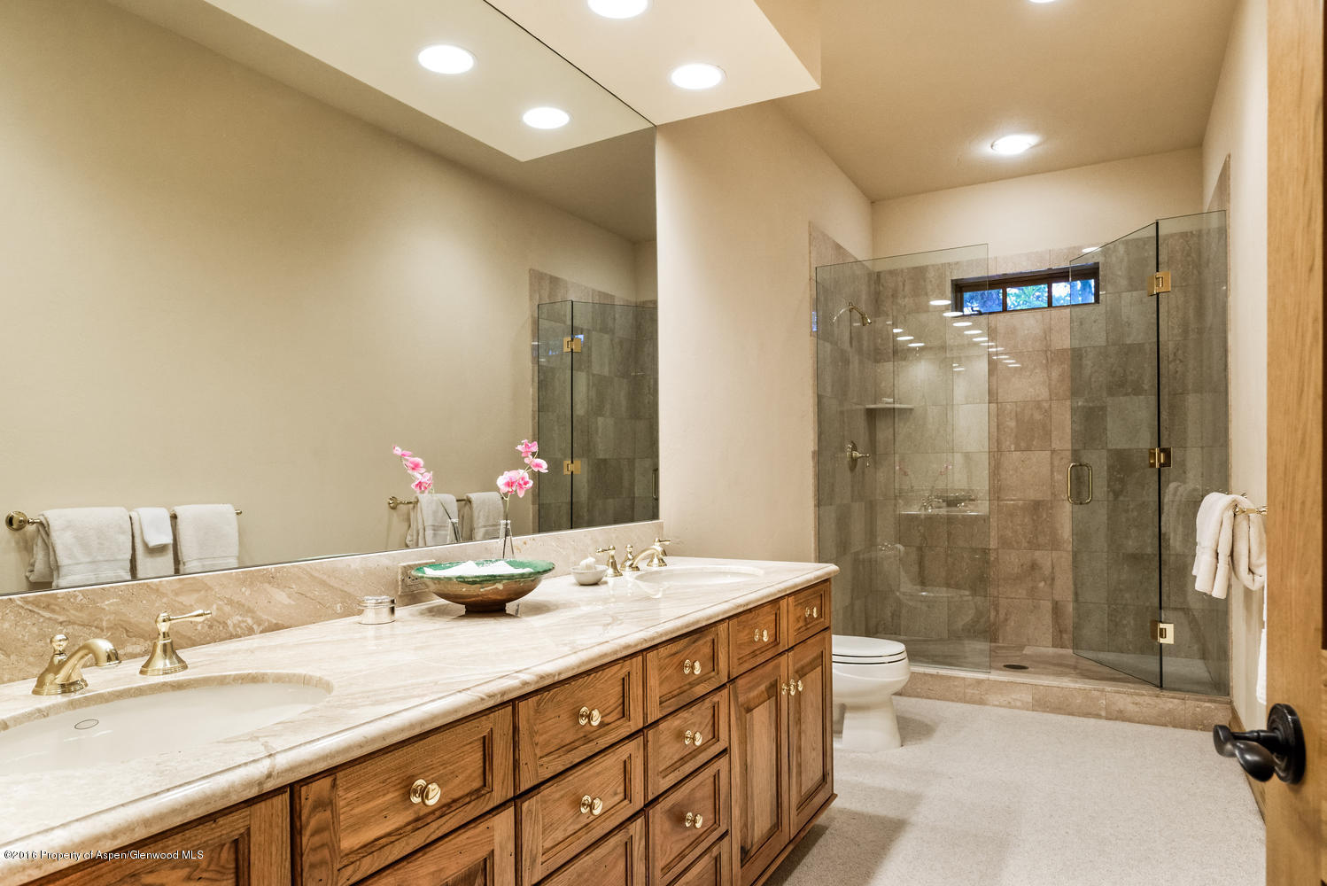 285 Pfister Drive Aspen CO 81611
