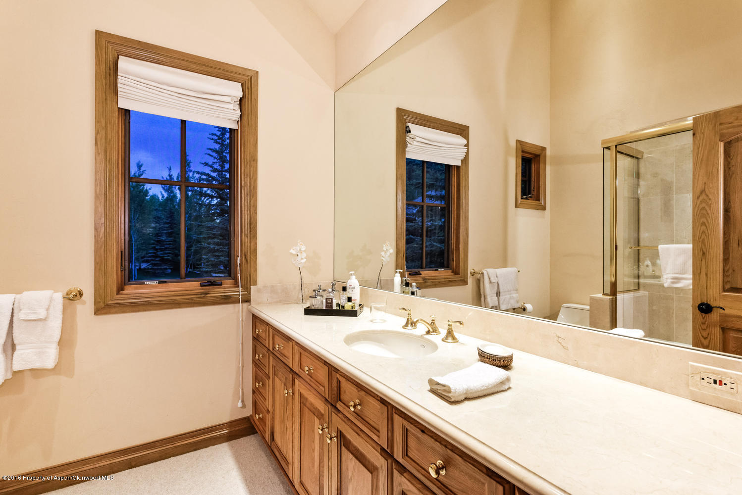 285 Pfister Drive Aspen CO 81611