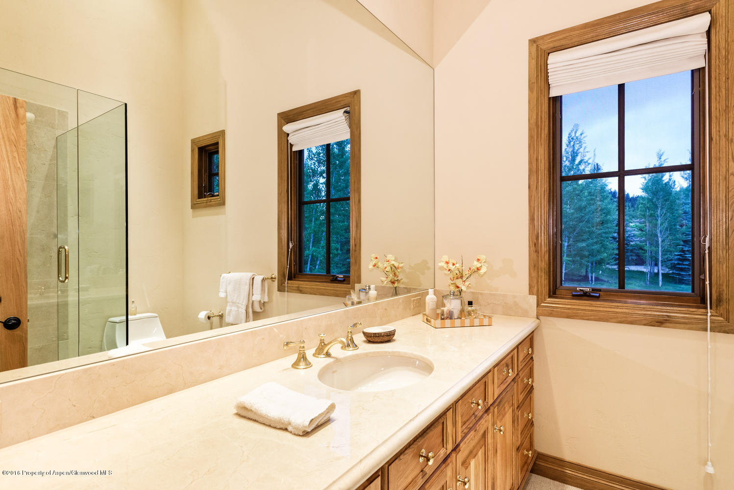 285 Pfister Drive Aspen CO 81611