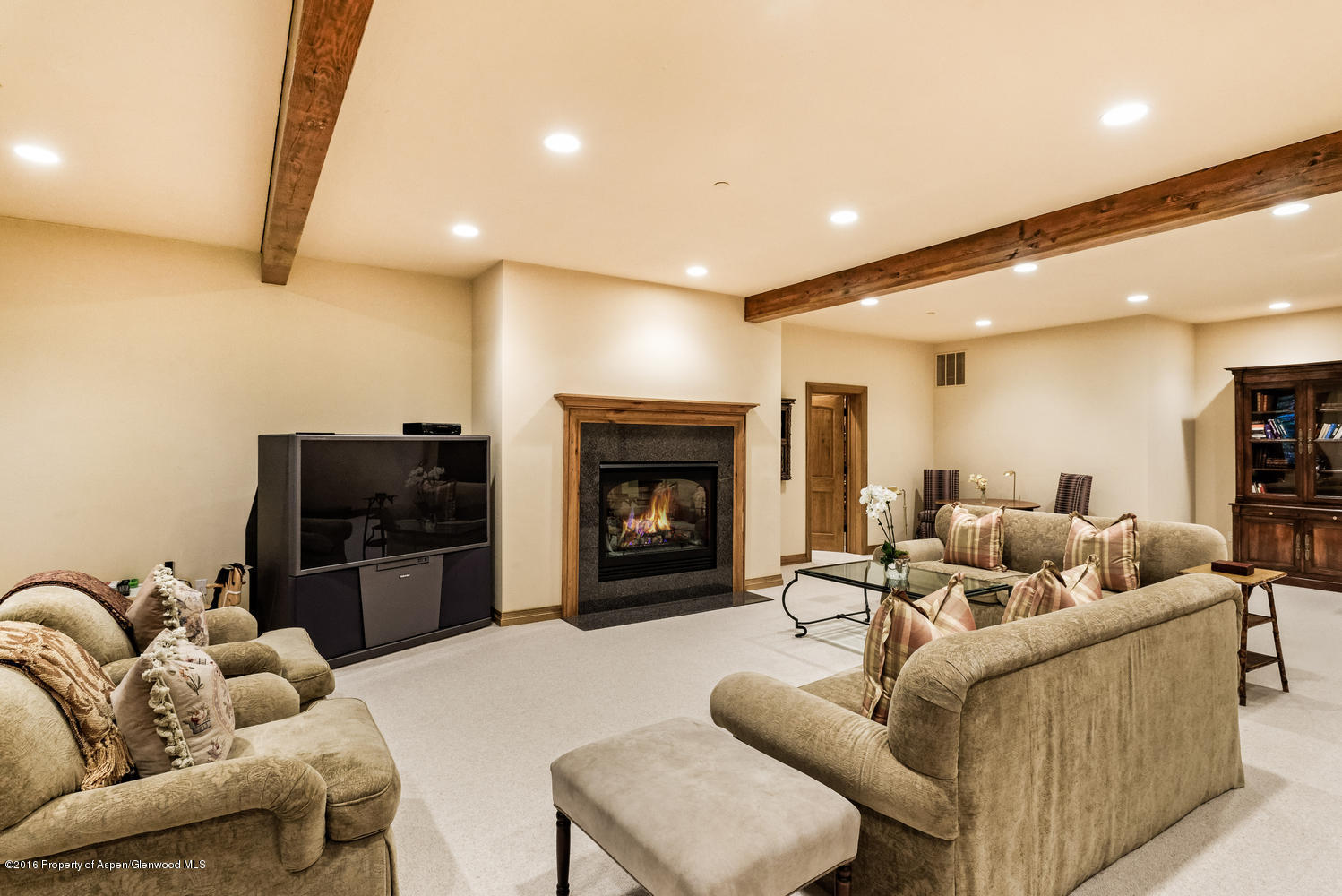 285 Pfister Drive Aspen CO 81611