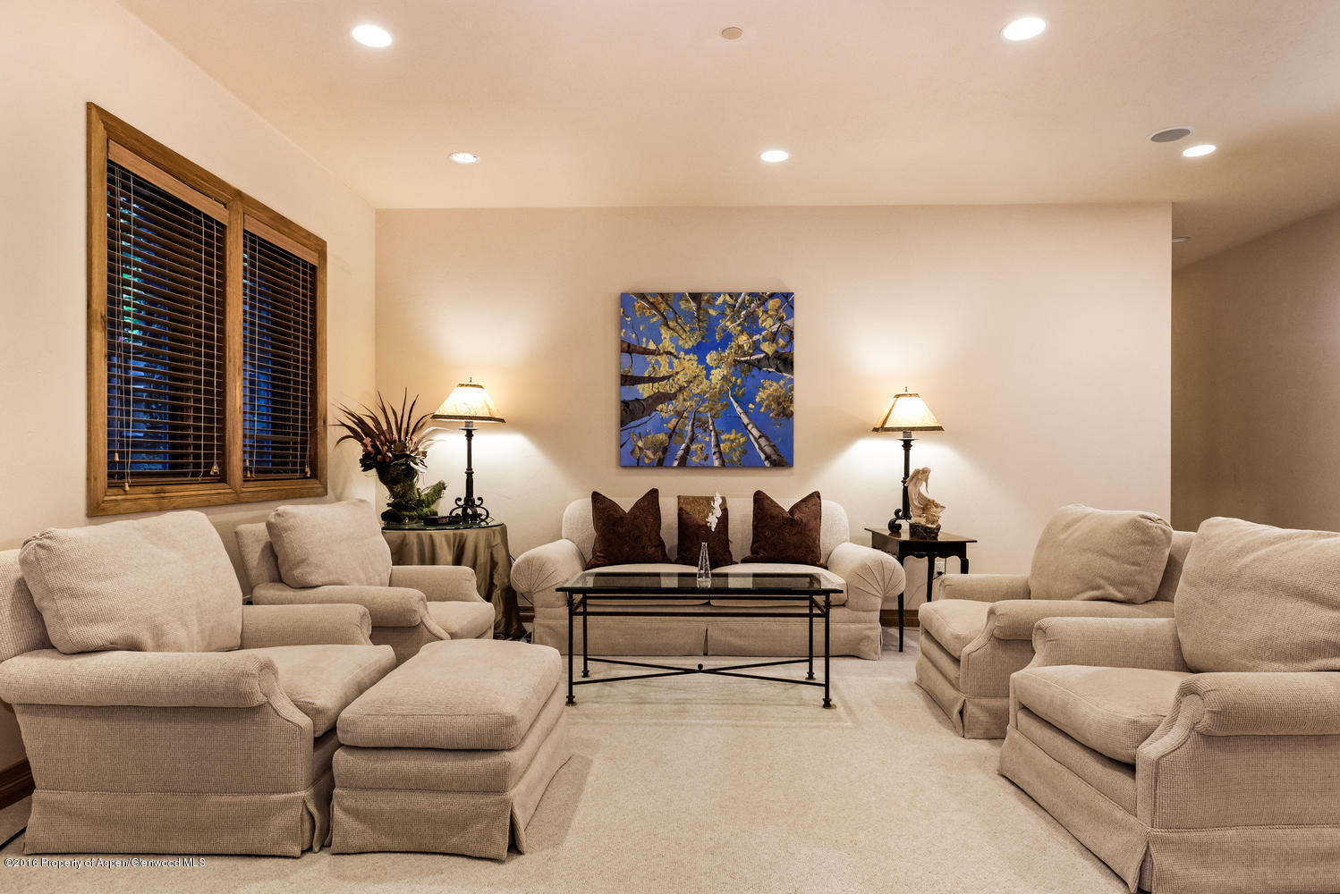 285 Pfister Drive Aspen CO 81611
