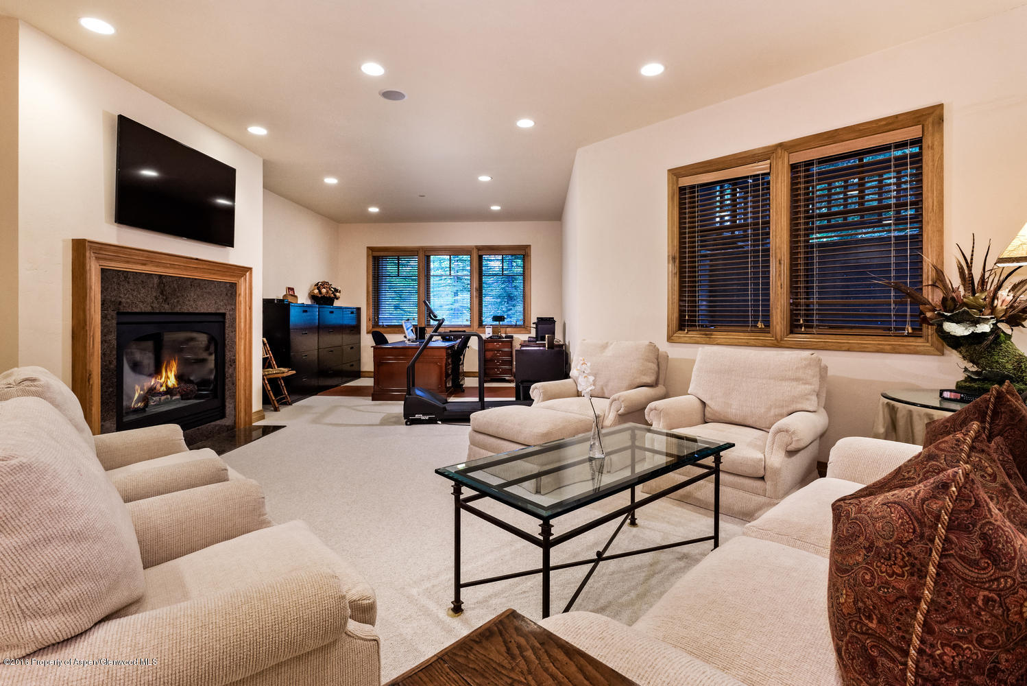 285 Pfister Drive Aspen CO 81611