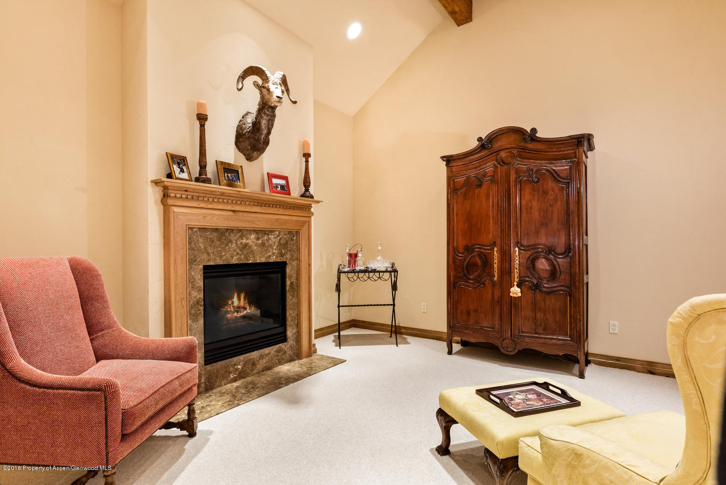 285 Pfister Drive Aspen CO 81611