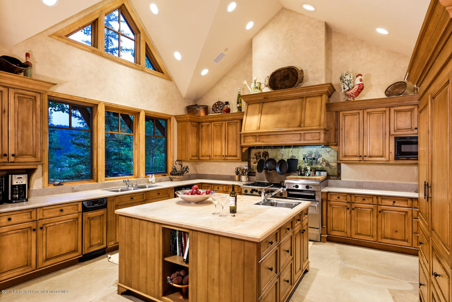 285 Pfister Drive Aspen CO 81611