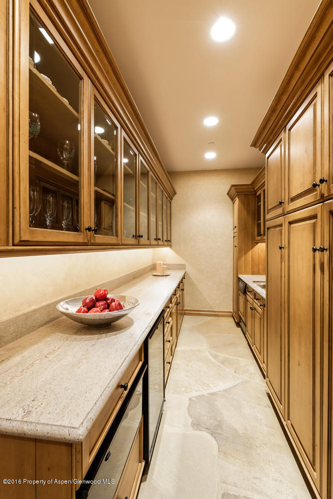 285 Pfister Drive Aspen CO 81611