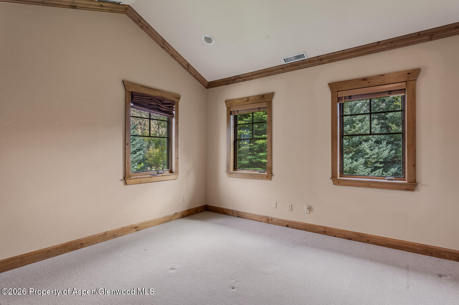 251 Wildflower Road Carbondale CO 81623