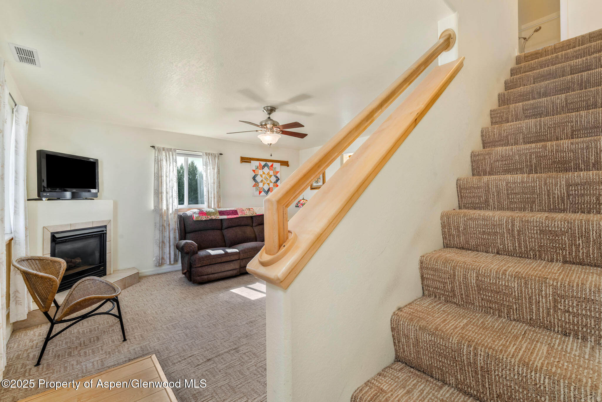 266 Harvest Drive Hayden CO 81639