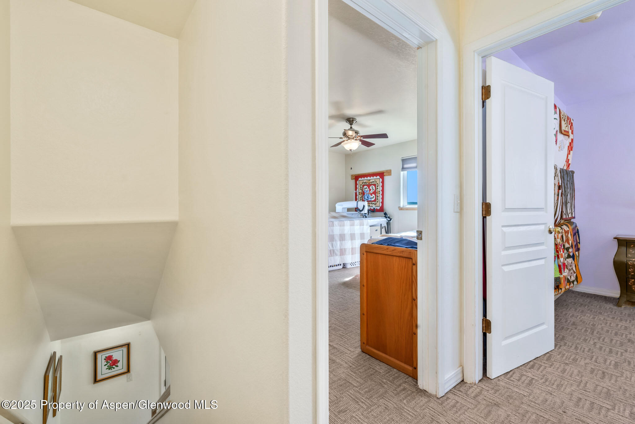 266 Harvest Drive Hayden CO 81639