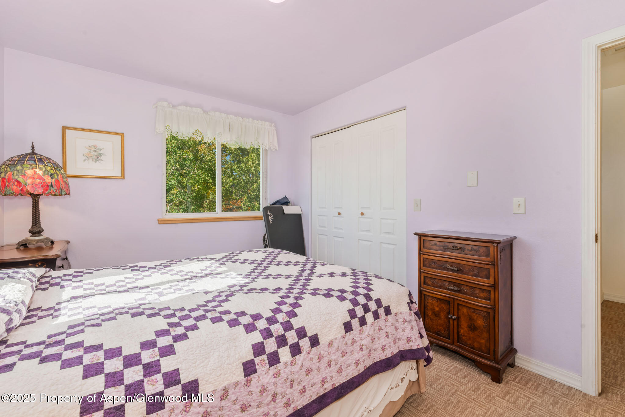 266 Harvest Drive Hayden CO 81639