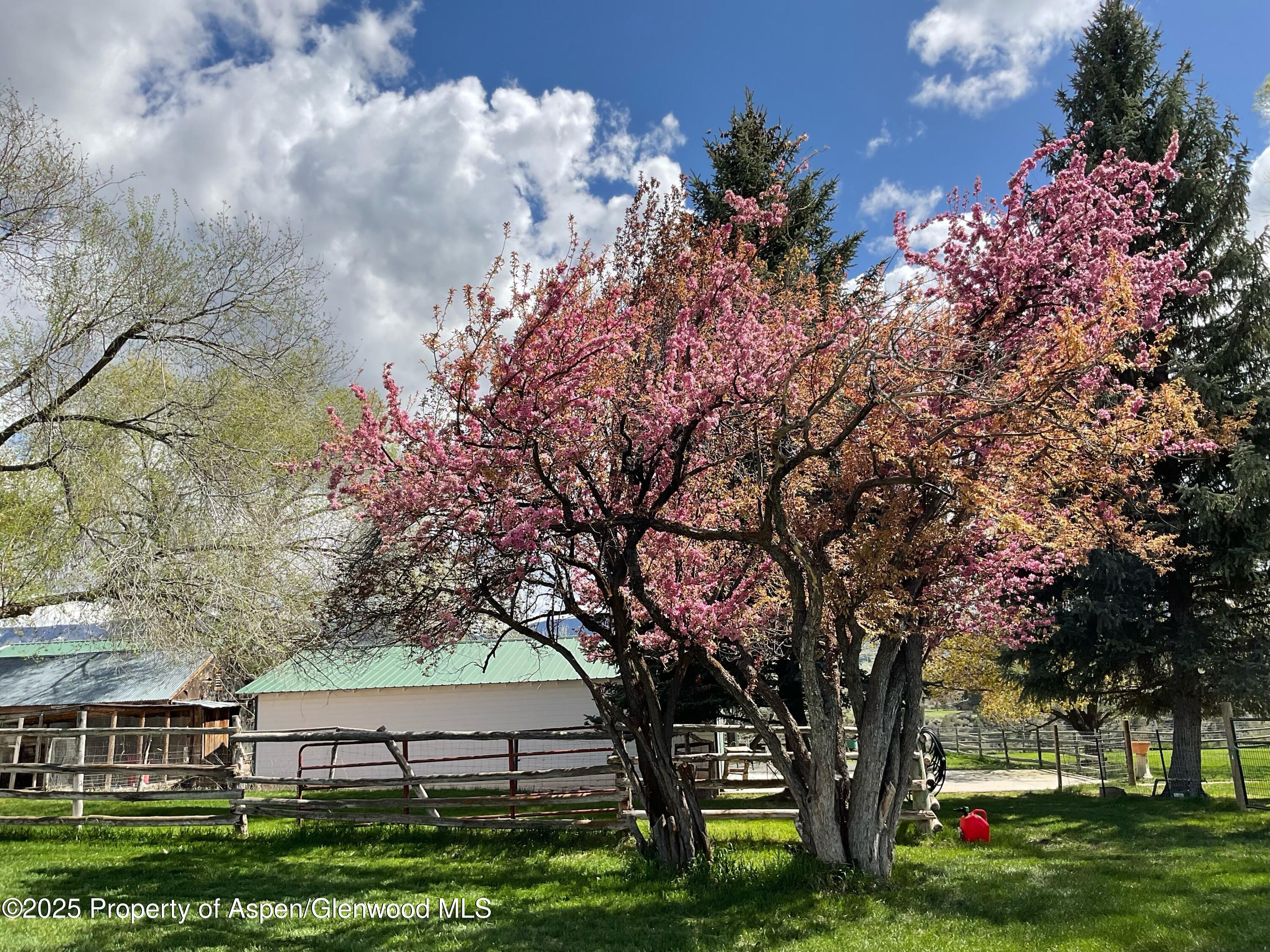 58590 Pe 3/10 Road Collbran CO 81624