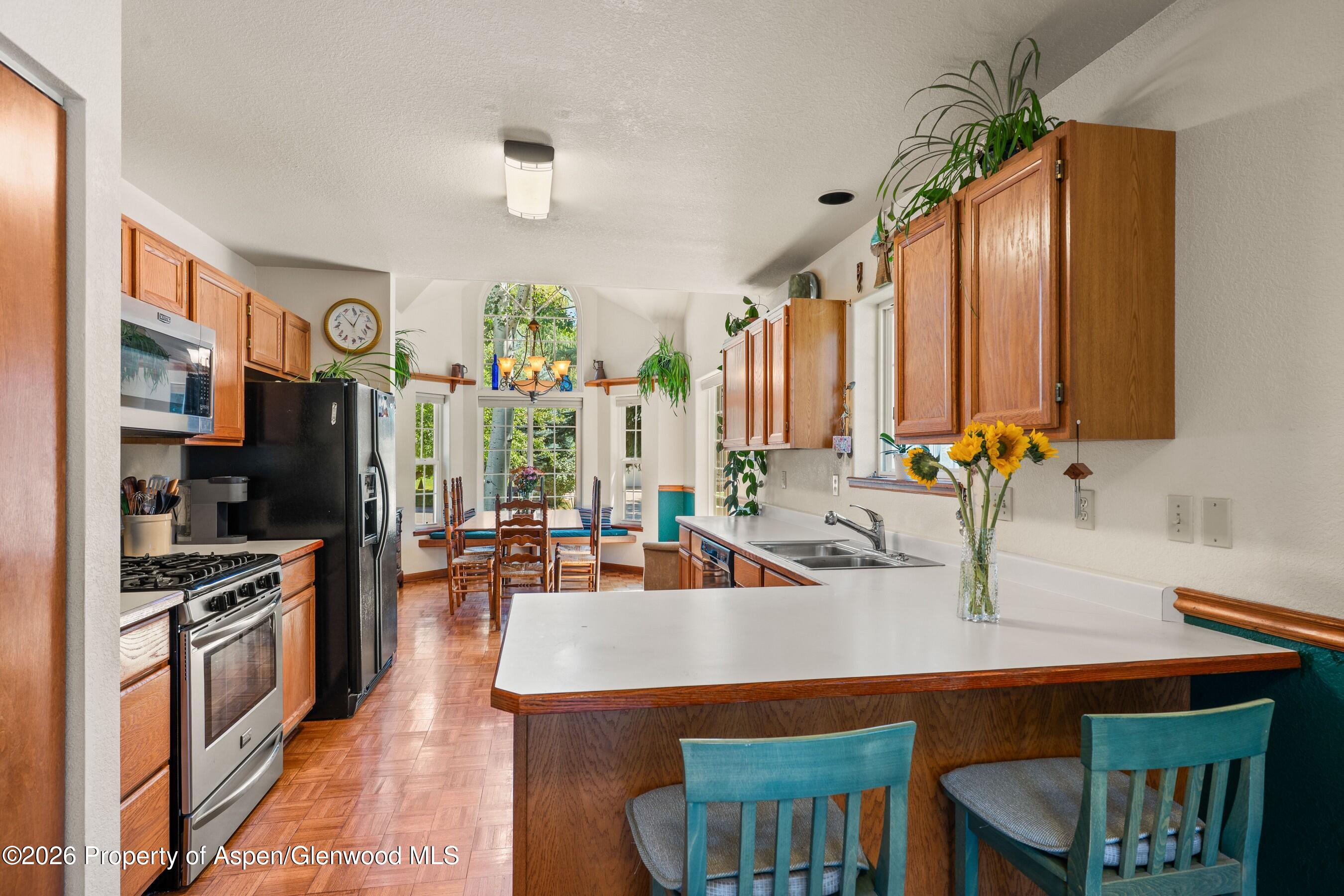 19 Eagles Nest Court Carbondale CO 81623