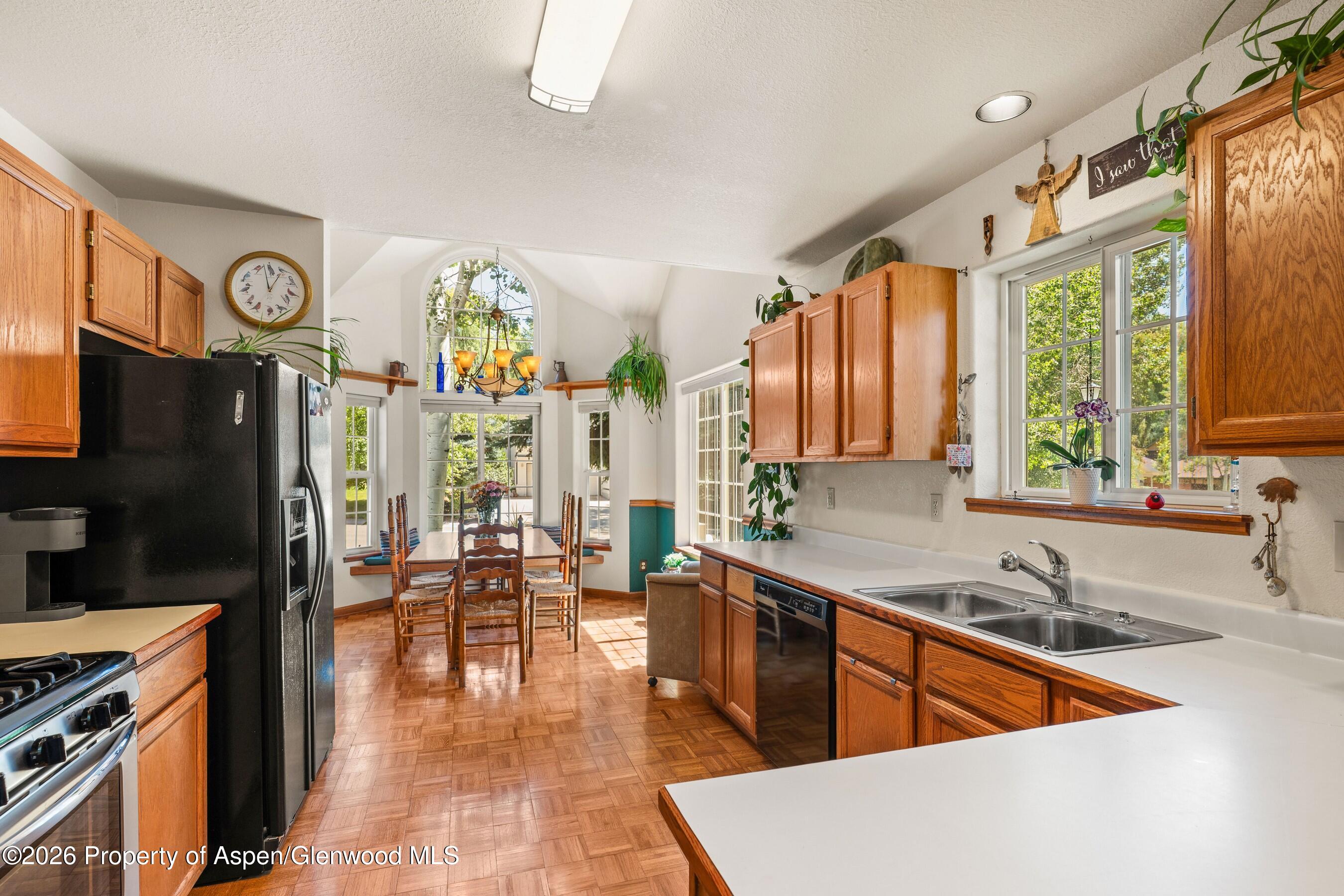 19 Eagles Nest Court Carbondale CO 81623