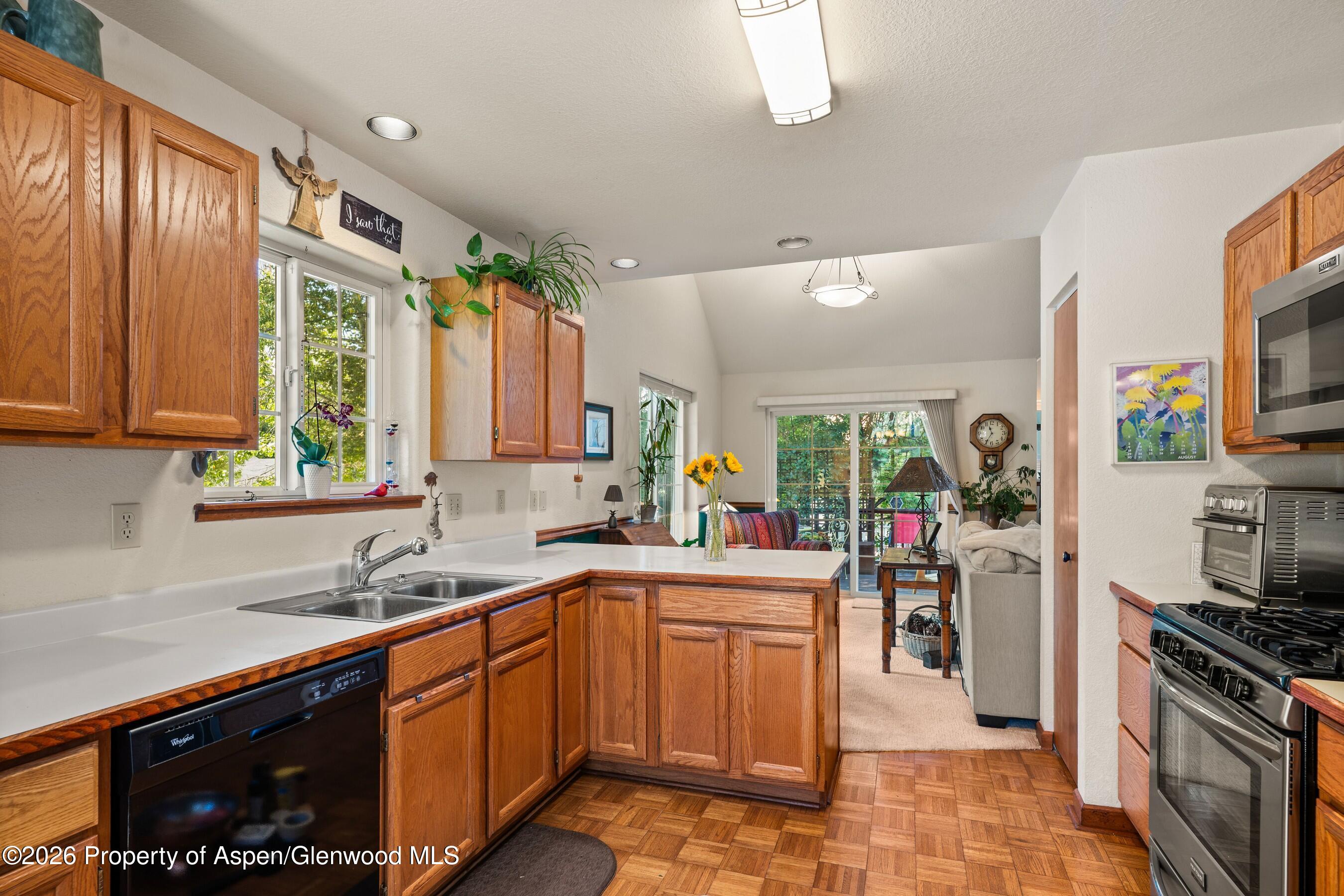 19 Eagles Nest Court Carbondale CO 81623