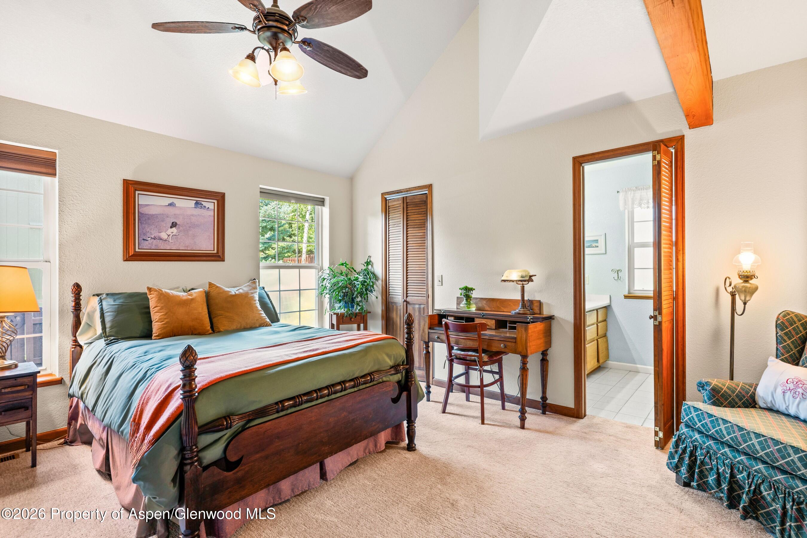 19 Eagles Nest Court Carbondale CO 81623
