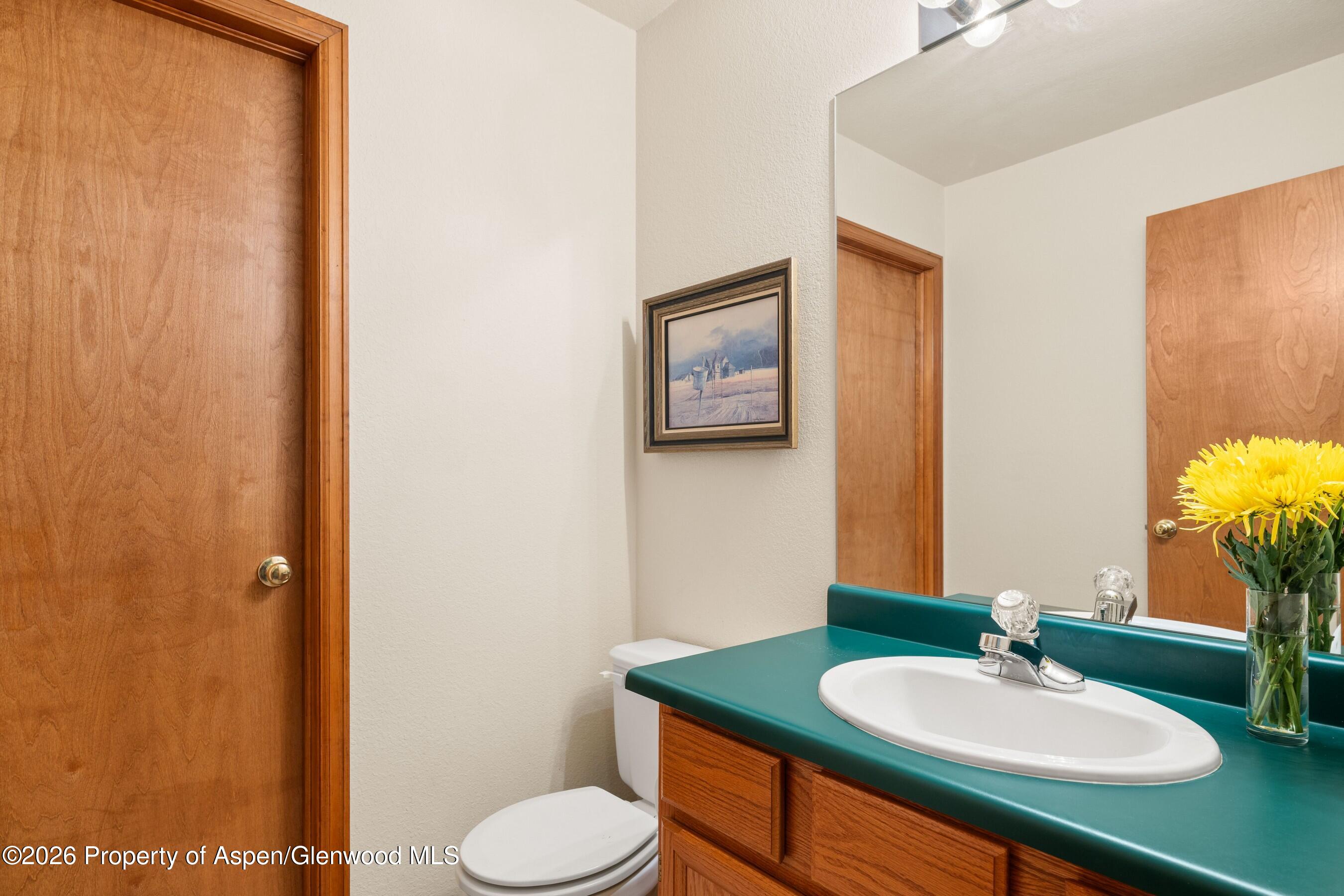 19 Eagles Nest Court Carbondale CO 81623