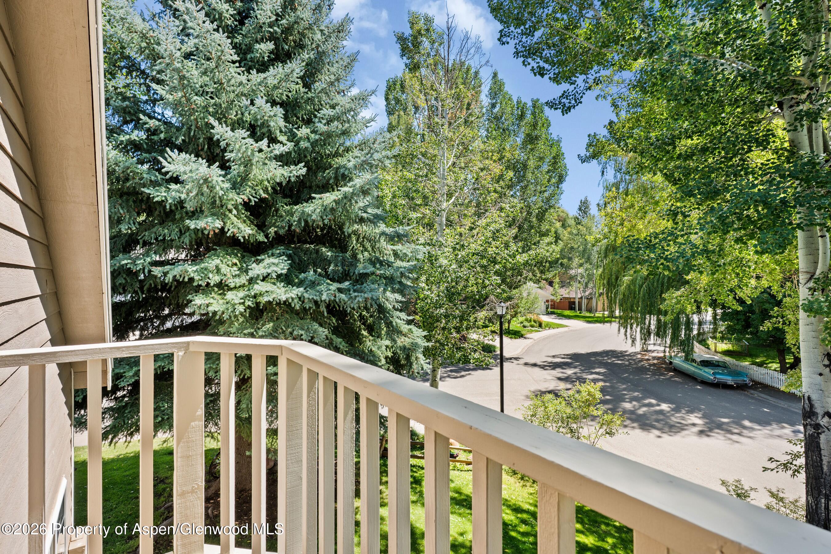 19 Eagles Nest Court Carbondale CO 81623