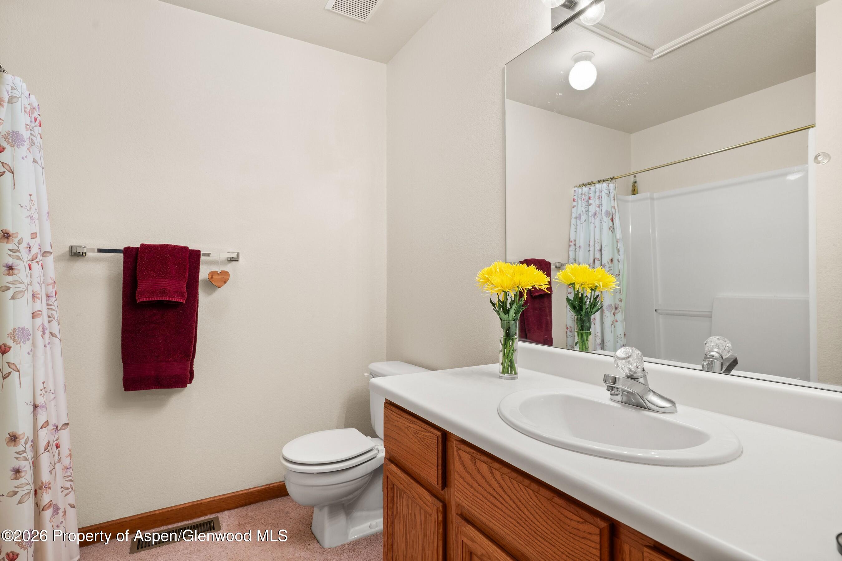 19 Eagles Nest Court Carbondale CO 81623