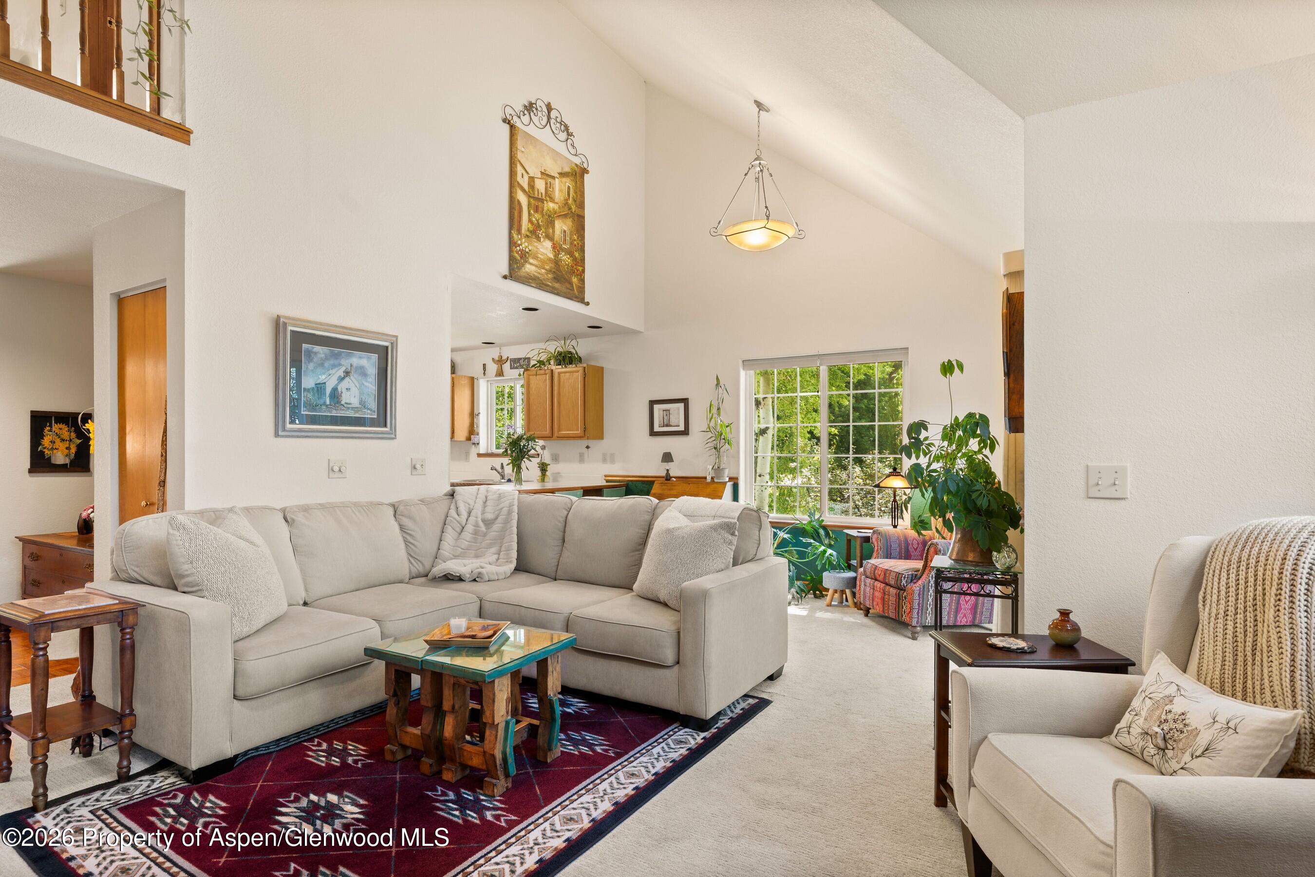 19 Eagles Nest Court Carbondale CO 81623
