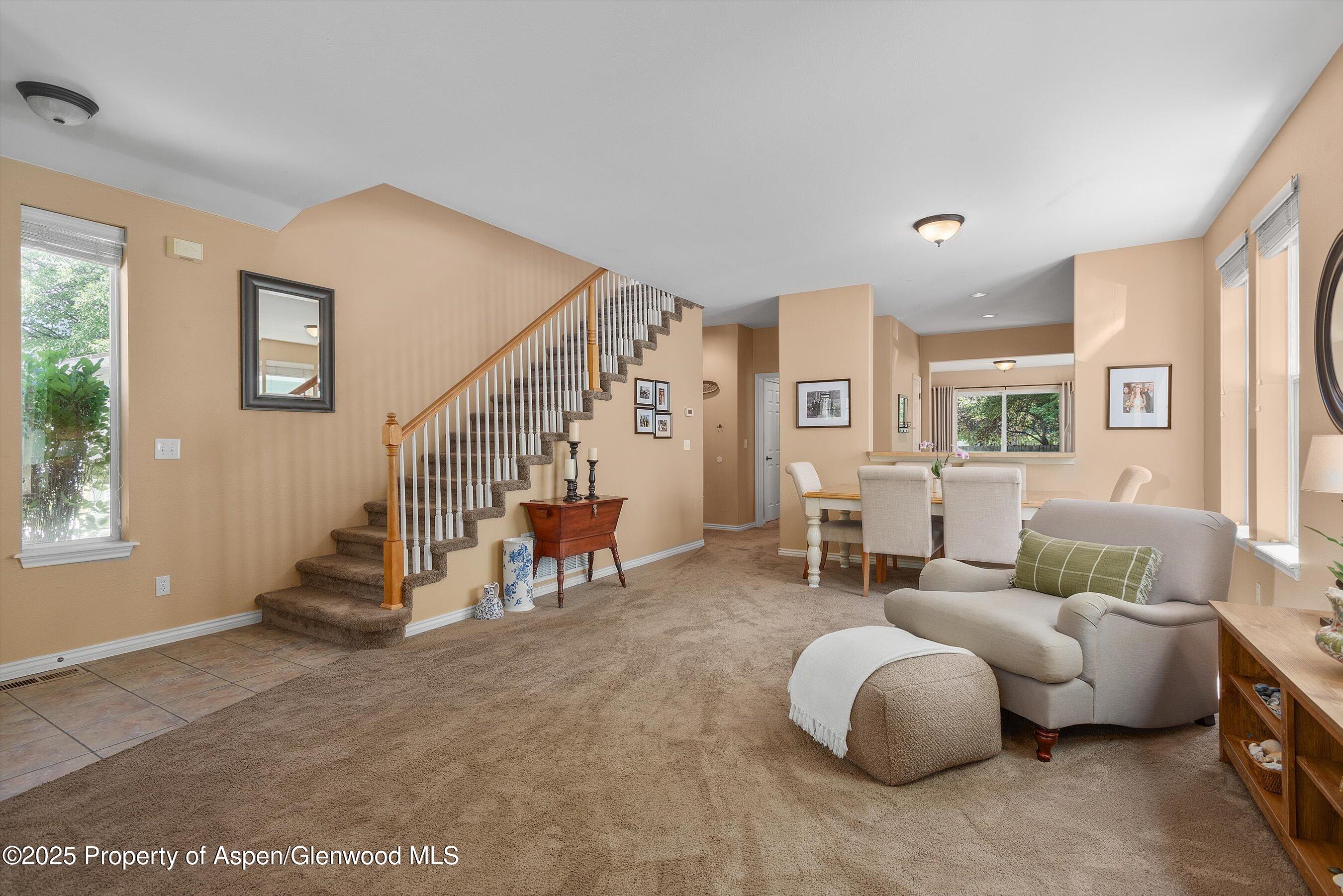 54 Ferguson Drive Carbondale CO 81623