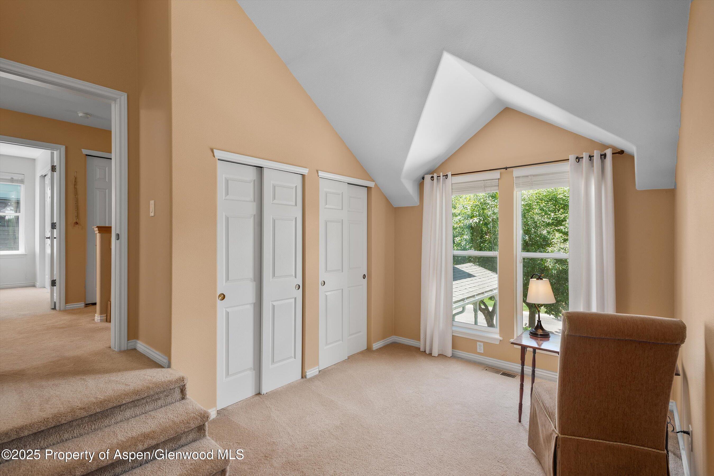 54 Ferguson Drive Carbondale CO 81623