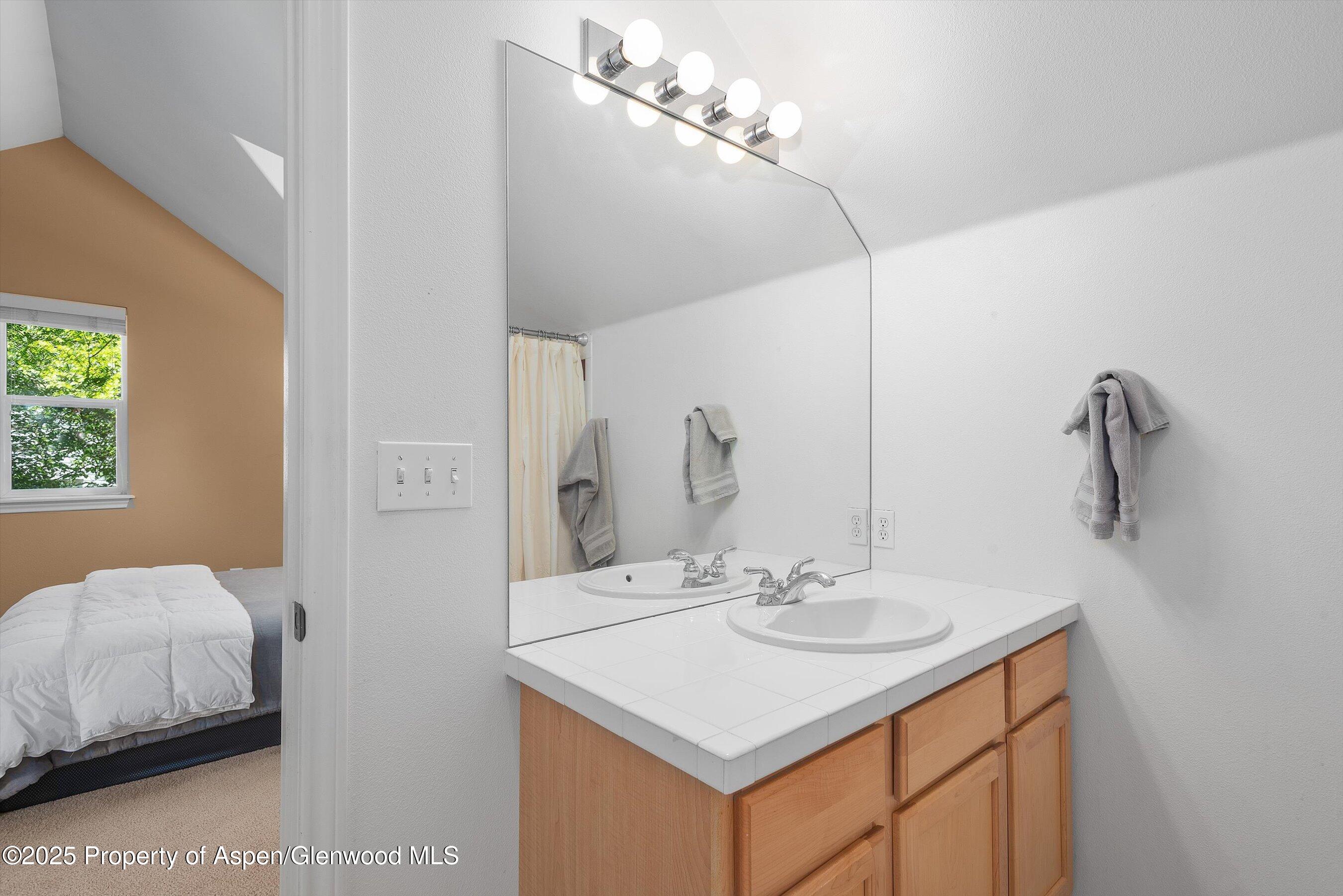 54 Ferguson Drive Carbondale CO 81623