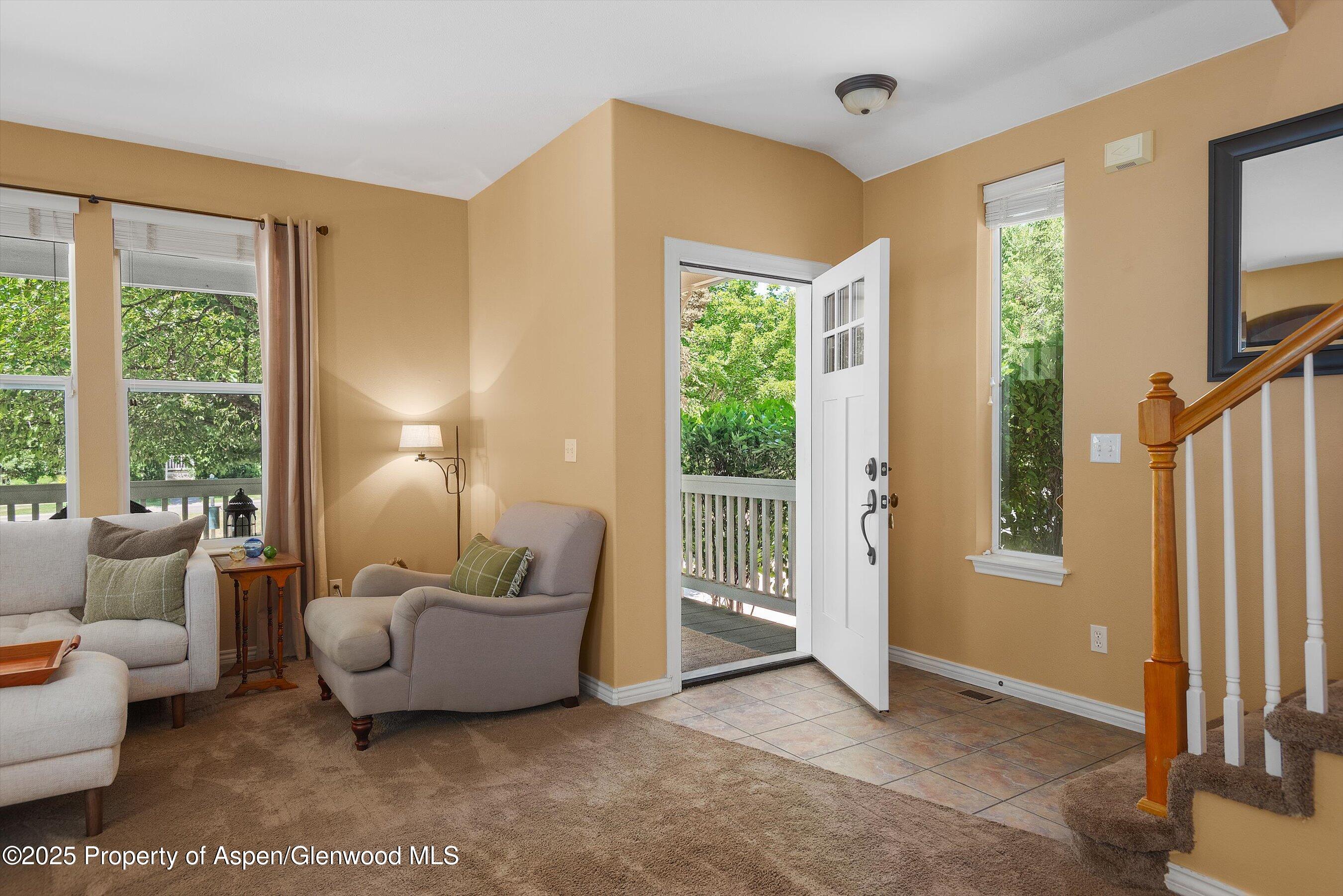 54 Ferguson Drive Carbondale CO 81623