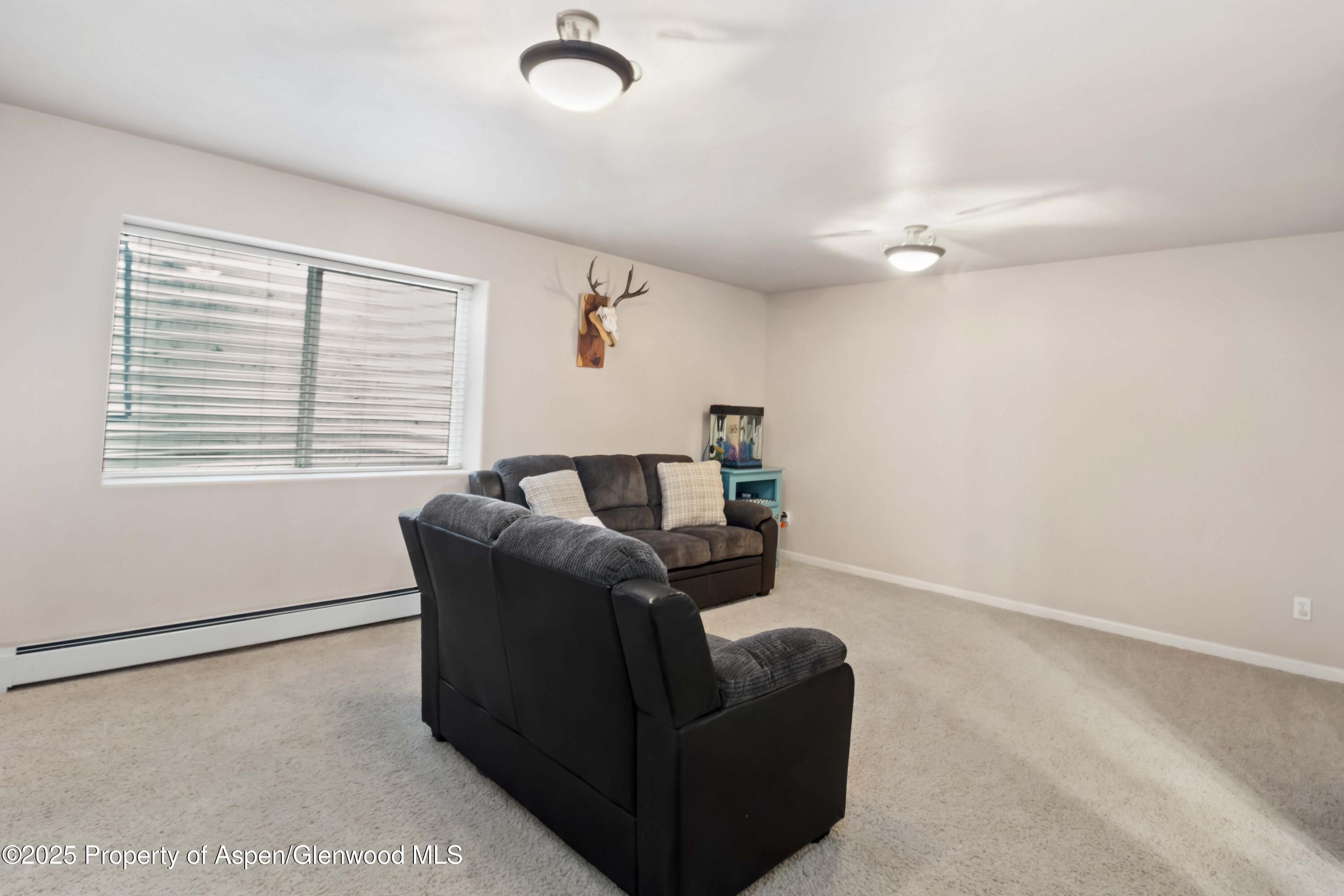 24 Lupine Lane Parachute CO 81635