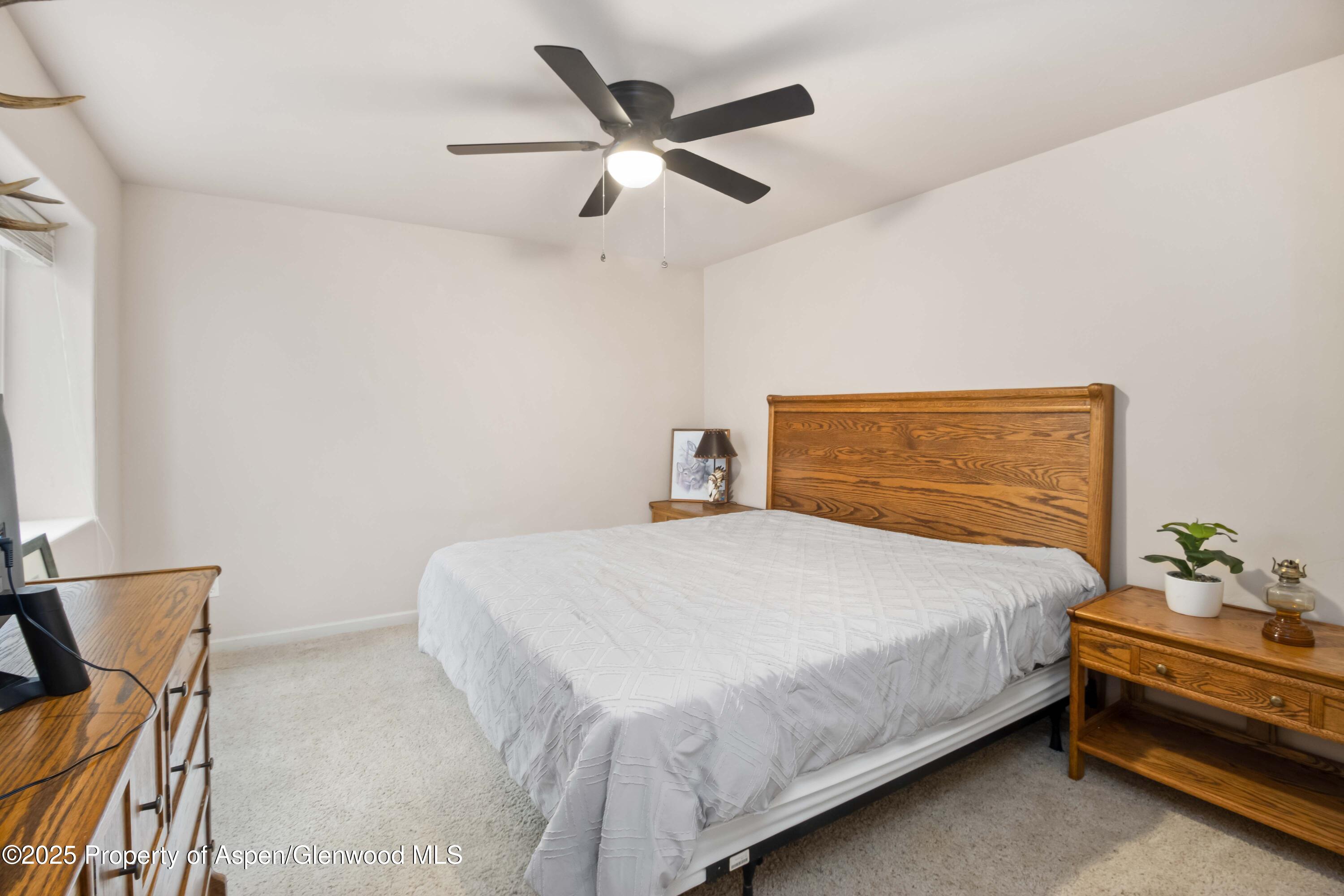 24 Lupine Lane Parachute CO 81635