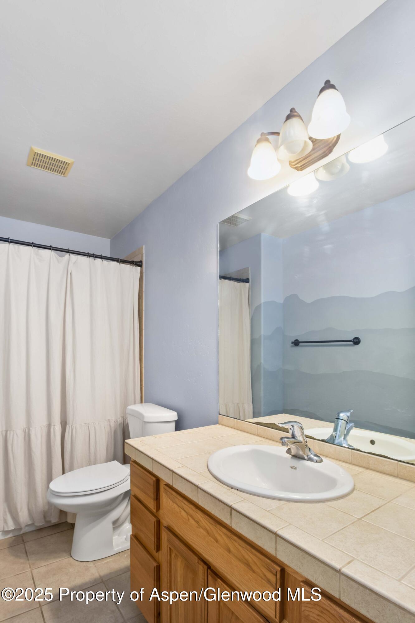 24 Lupine Lane Parachute CO 81635