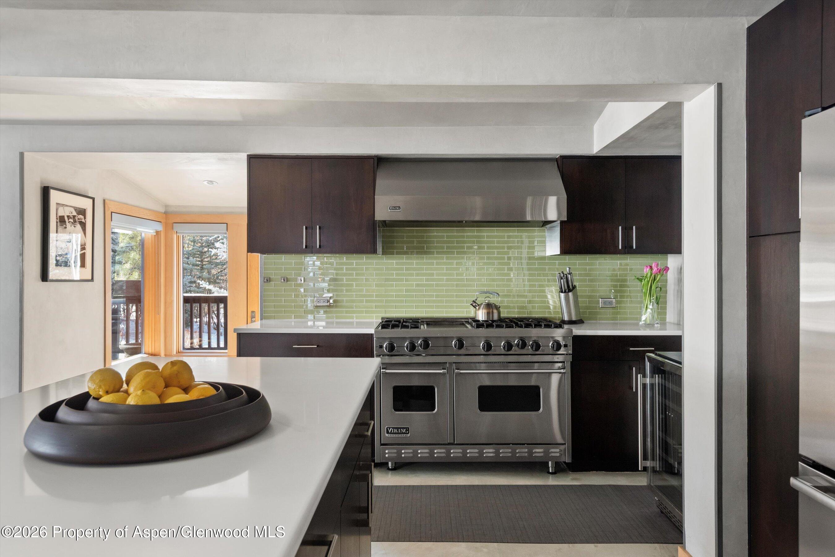 1038 Owl Creek Road Aspen CO 81611