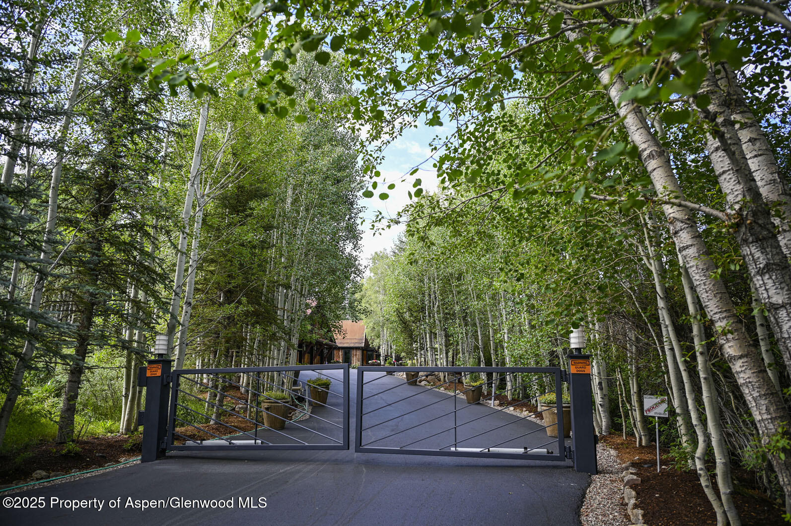 1038 Owl Creek Road Aspen CO 81611