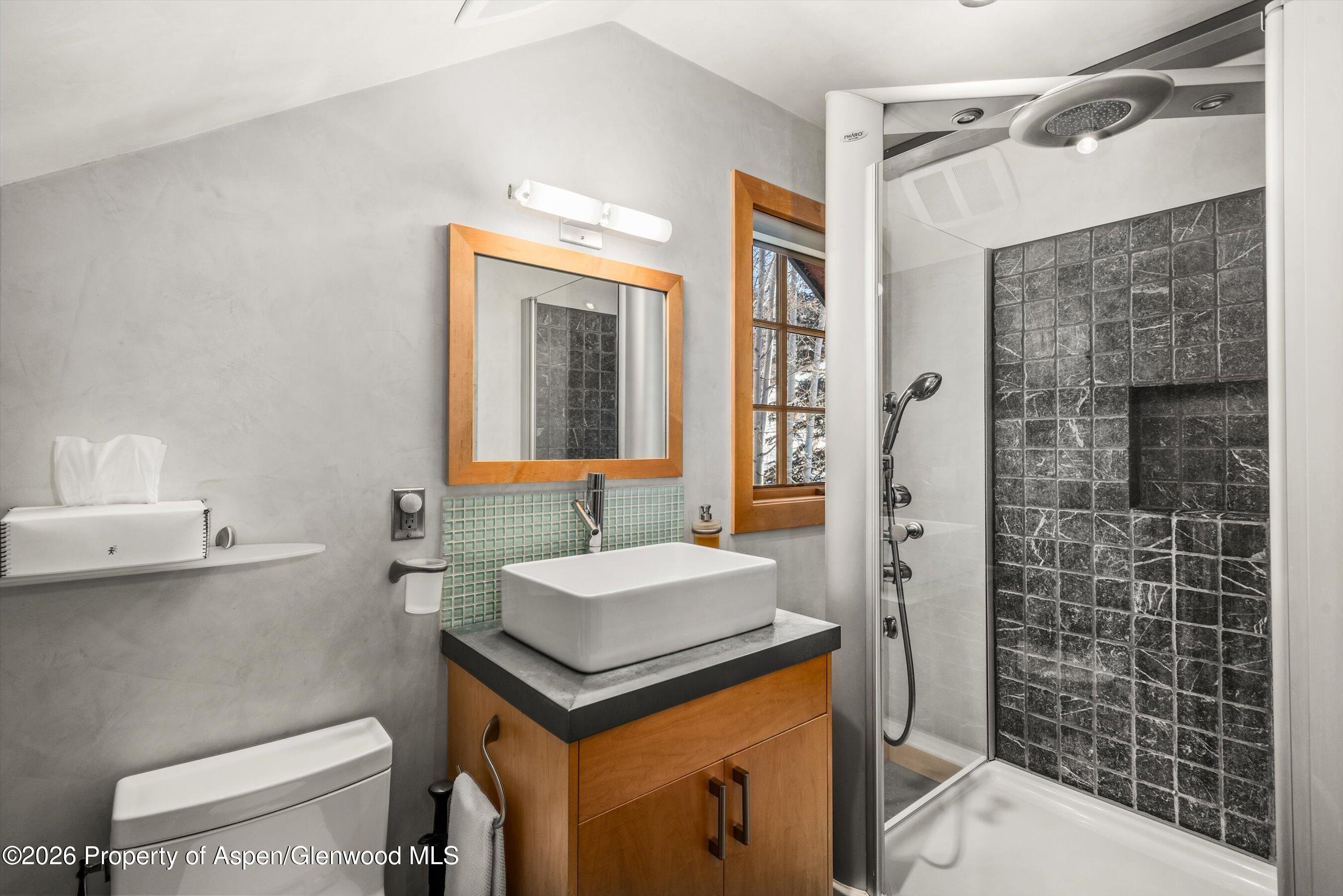 1038 Owl Creek Road Aspen CO 81611