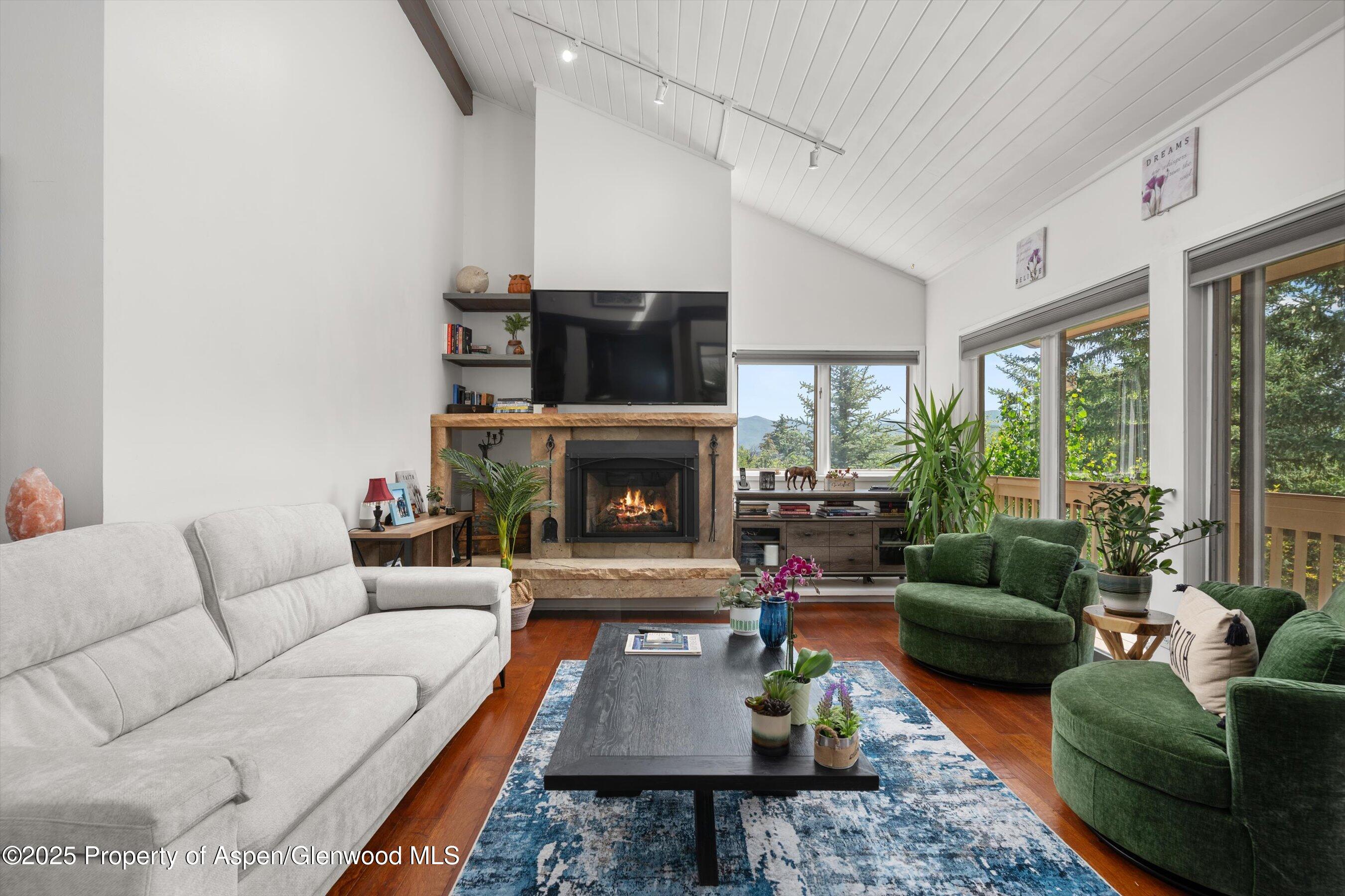 100 Terrace Lane Snowmass Village CO 81615