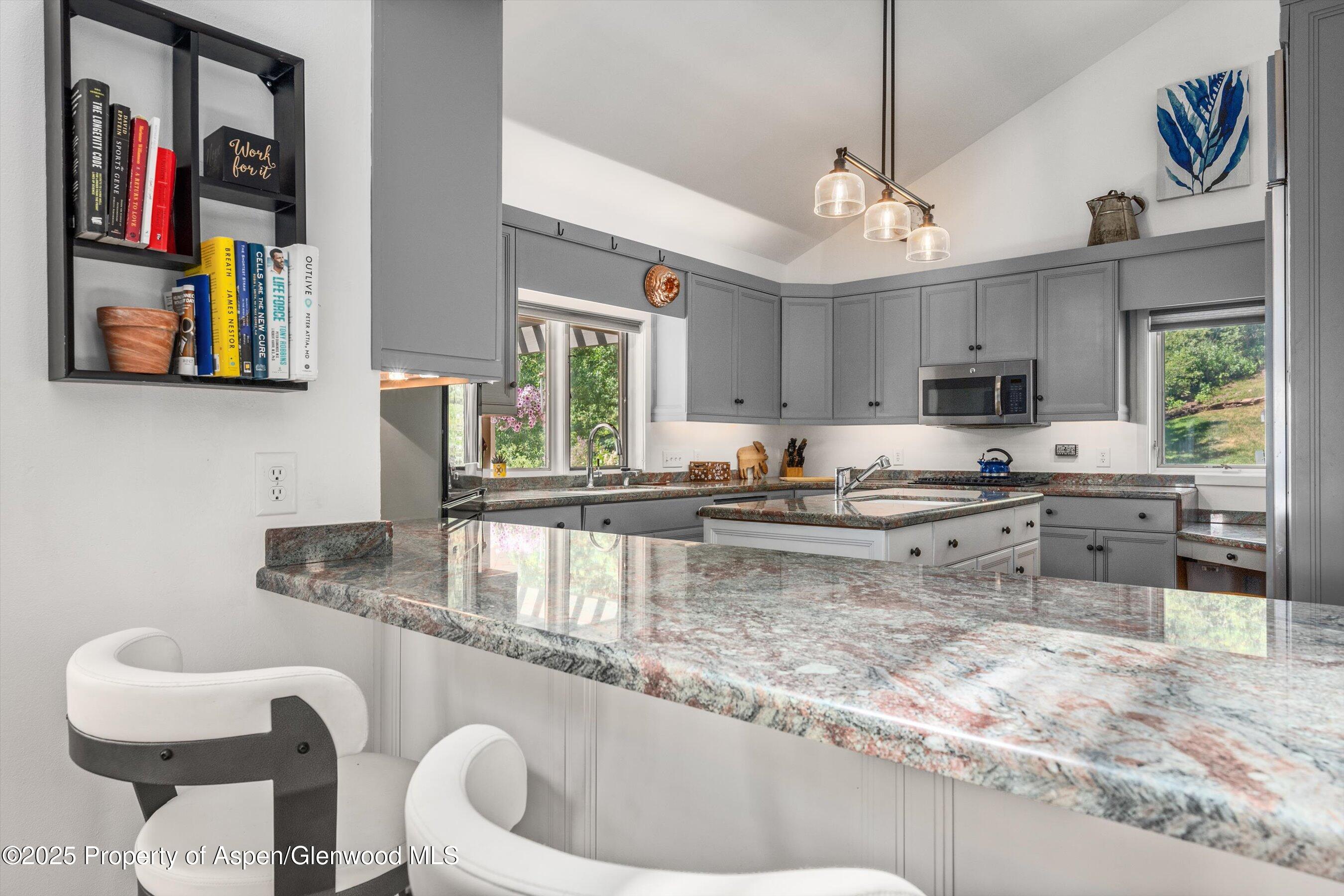 100 Terrace Lane Snowmass Village CO 81615